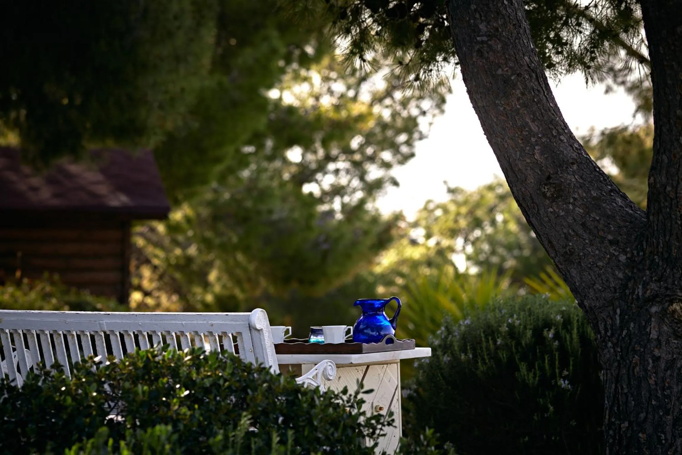 Garden in Villa Irini