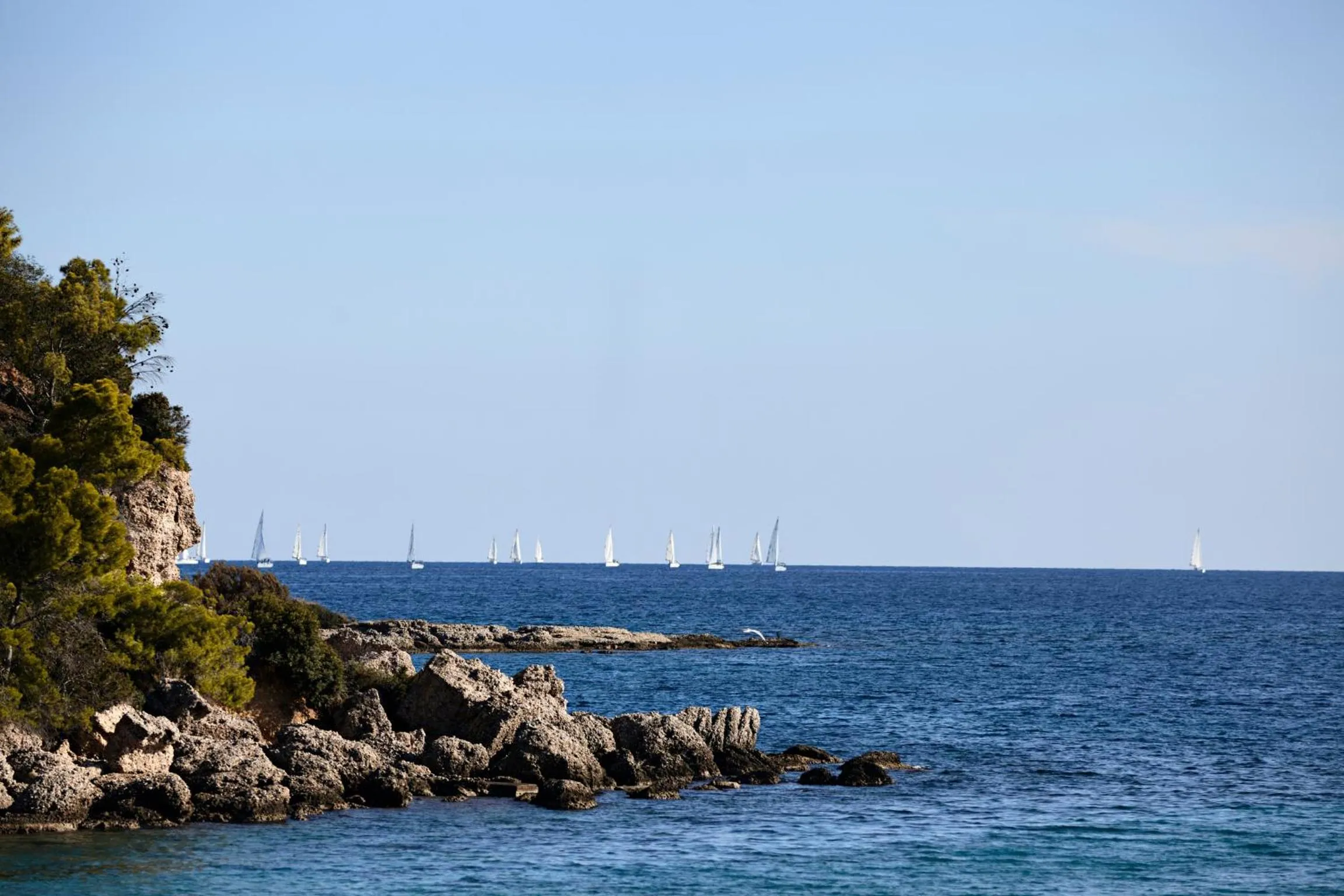 Natural landscape in Villa Irini