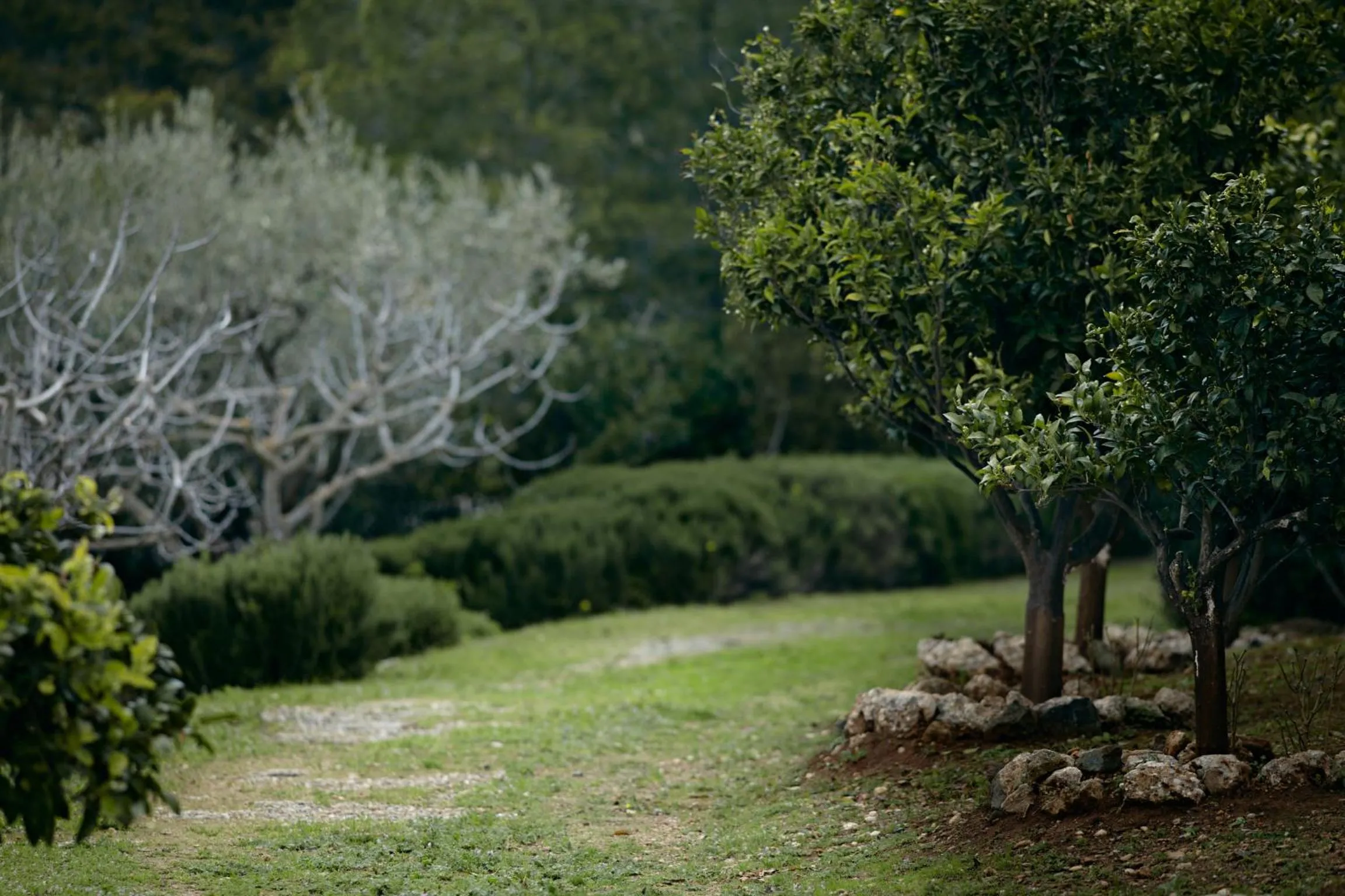 Spring in Villa Irini