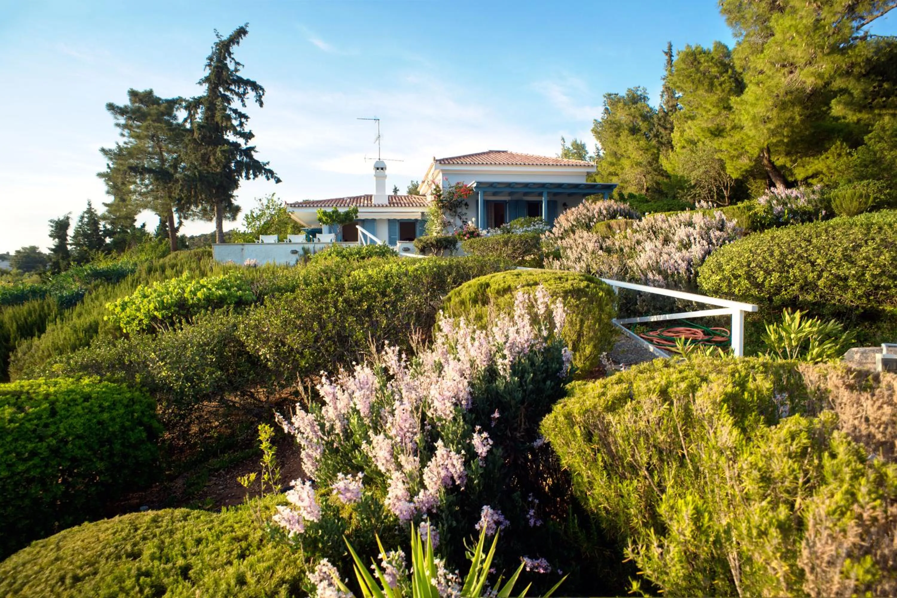 Spring in Villa Irini