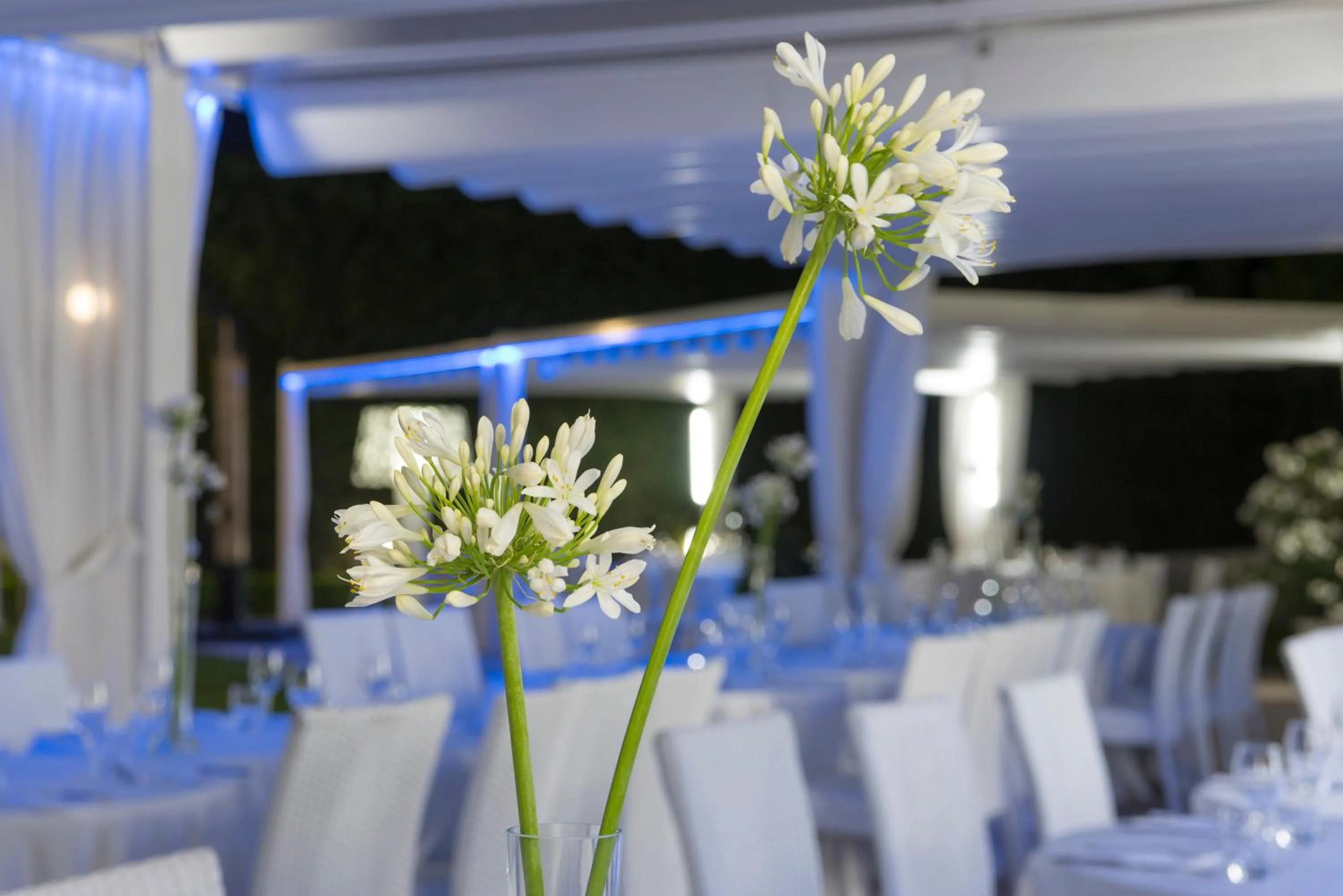 Property building in Grand Hotel Biffy