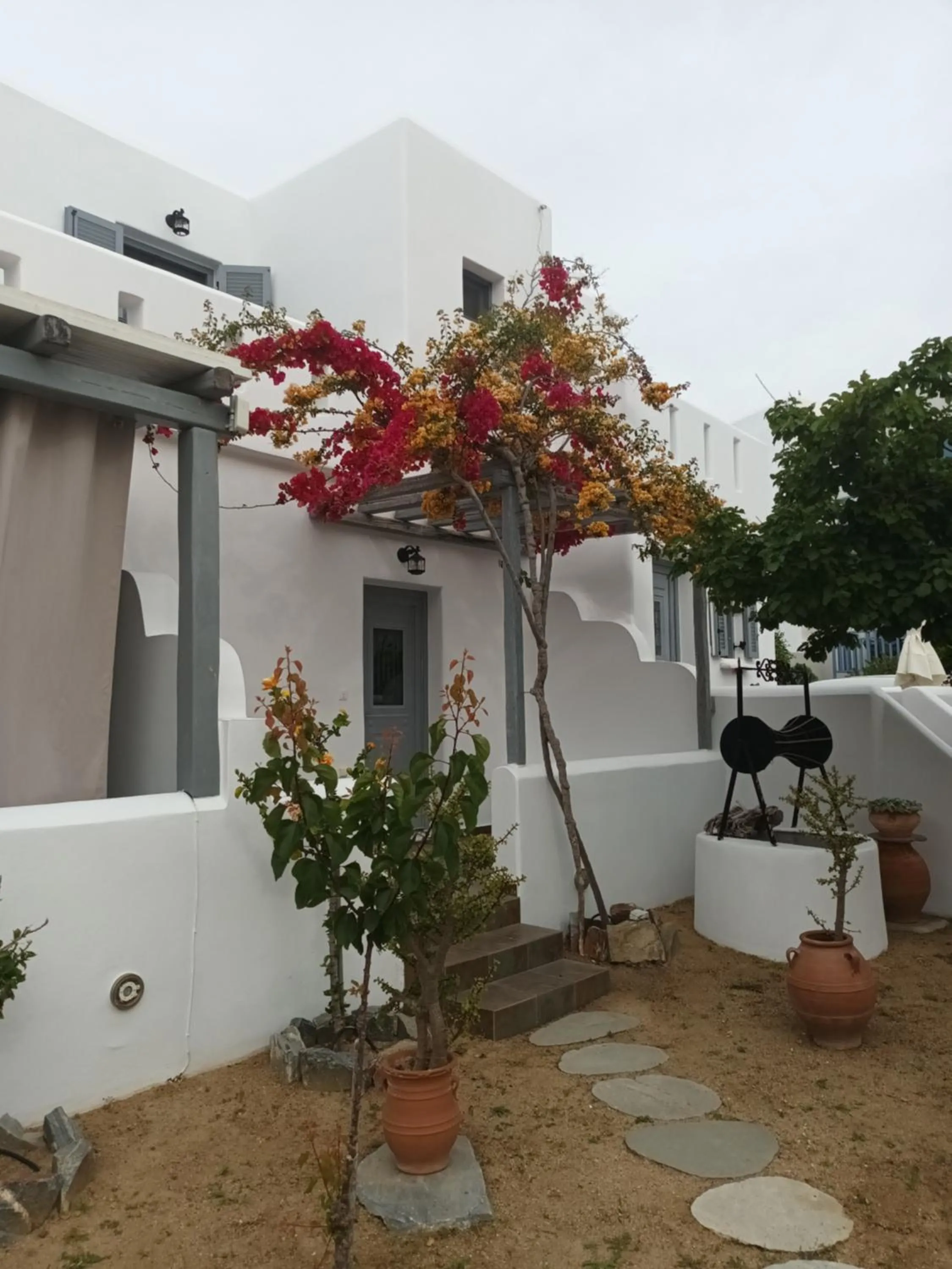 Garden in Theofanis Studios