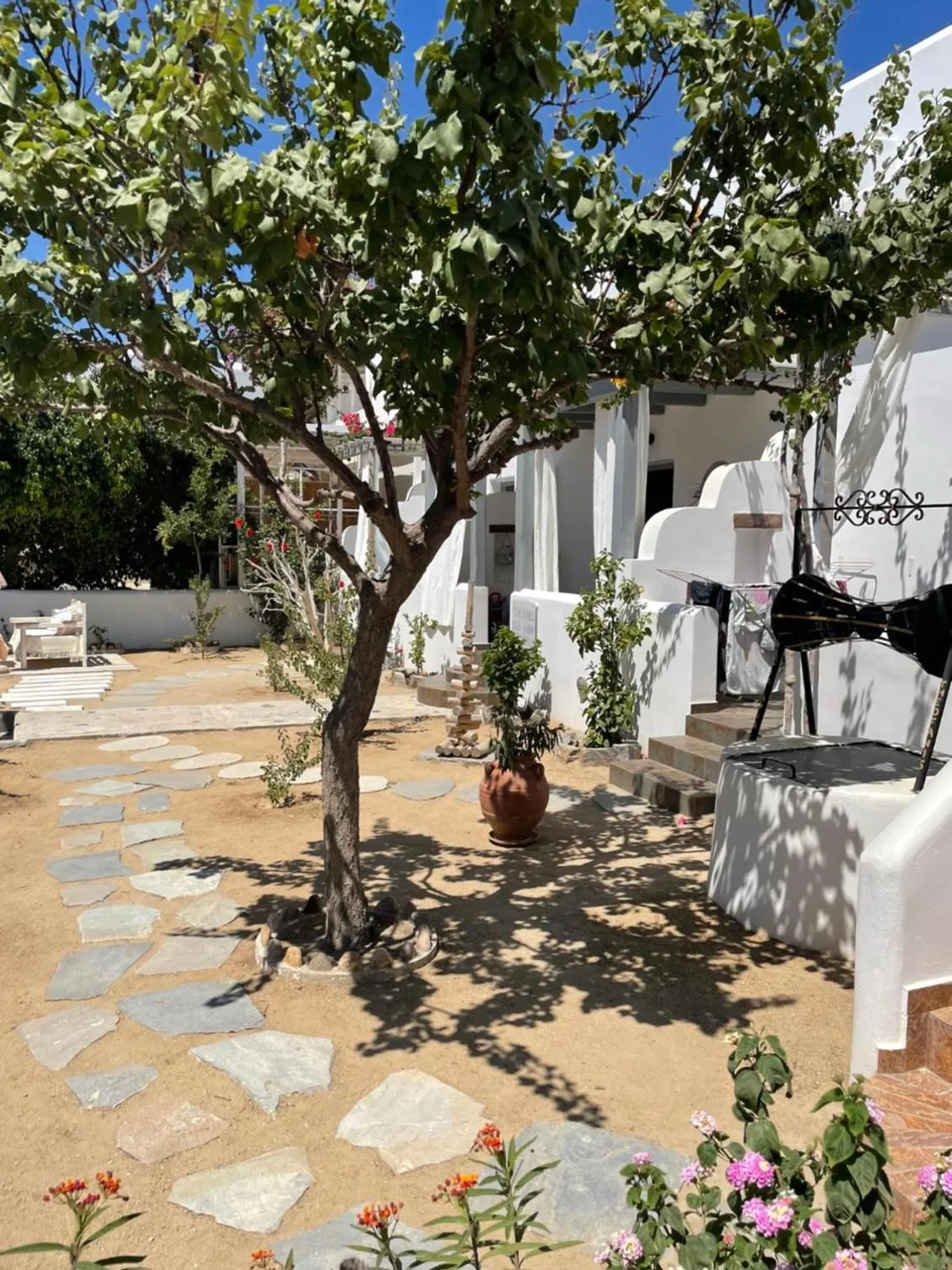 Garden in Theofanis Studios