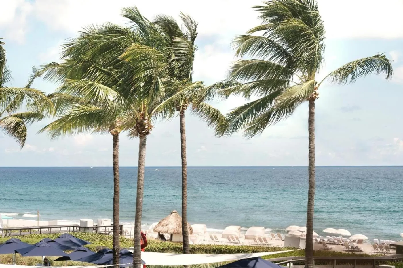 Beach Club at The Boca Raton