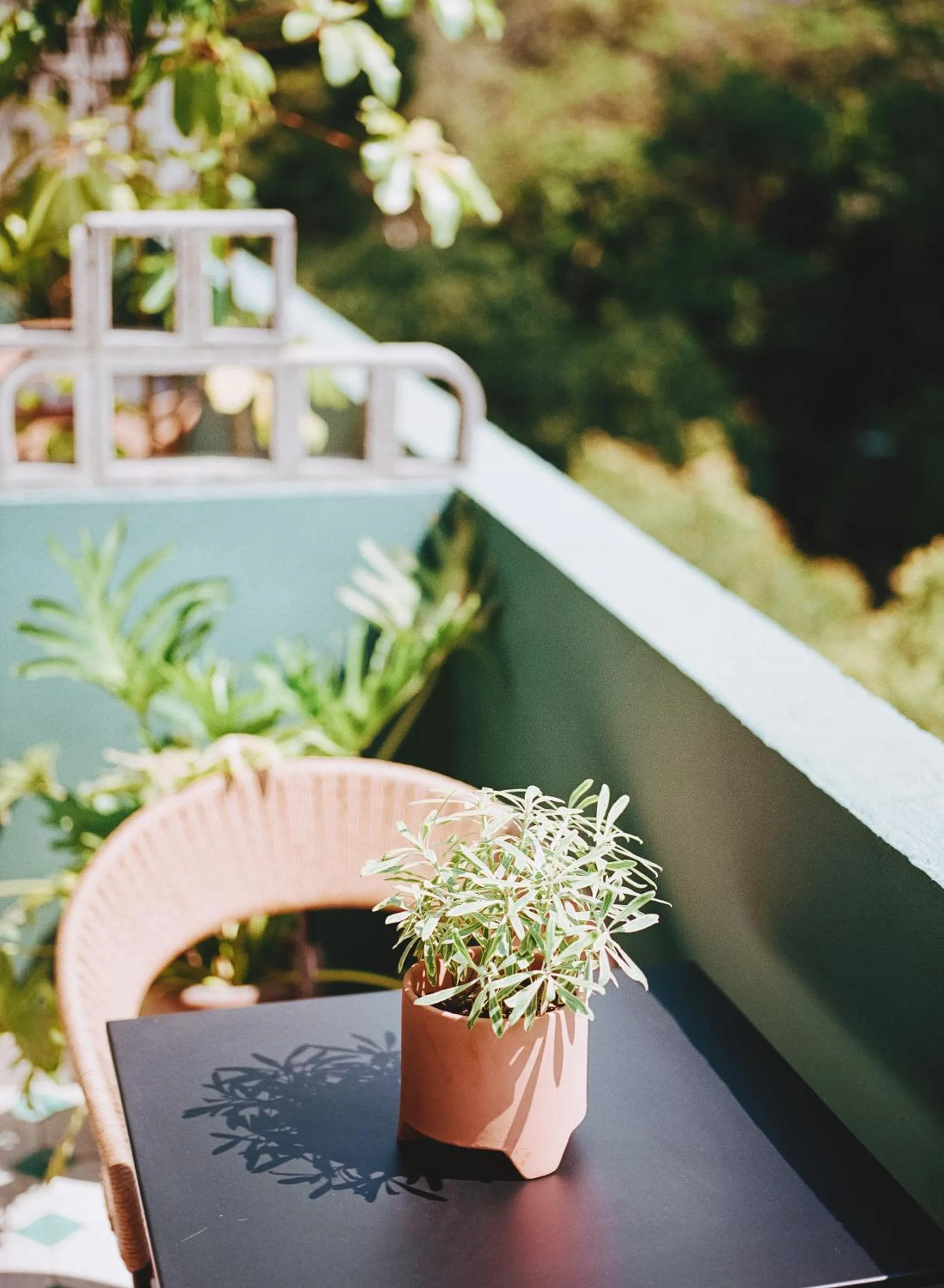Balcony/Terrace in Hotel San Fernando