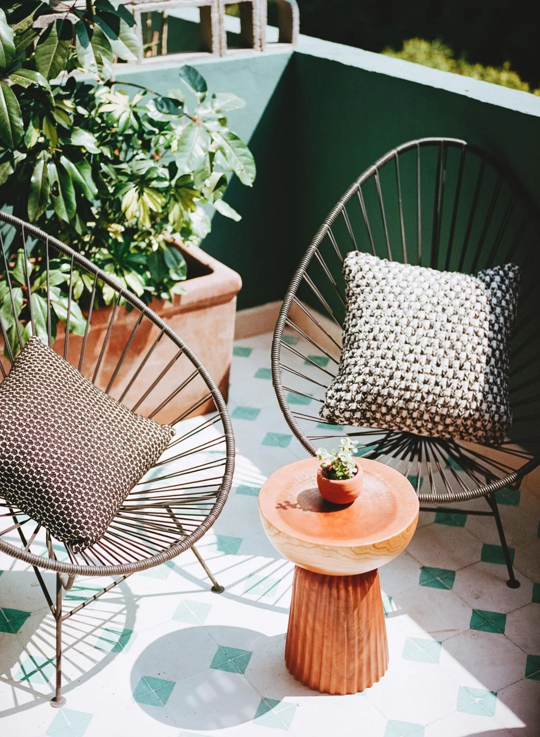 Garden in Hotel San Fernando