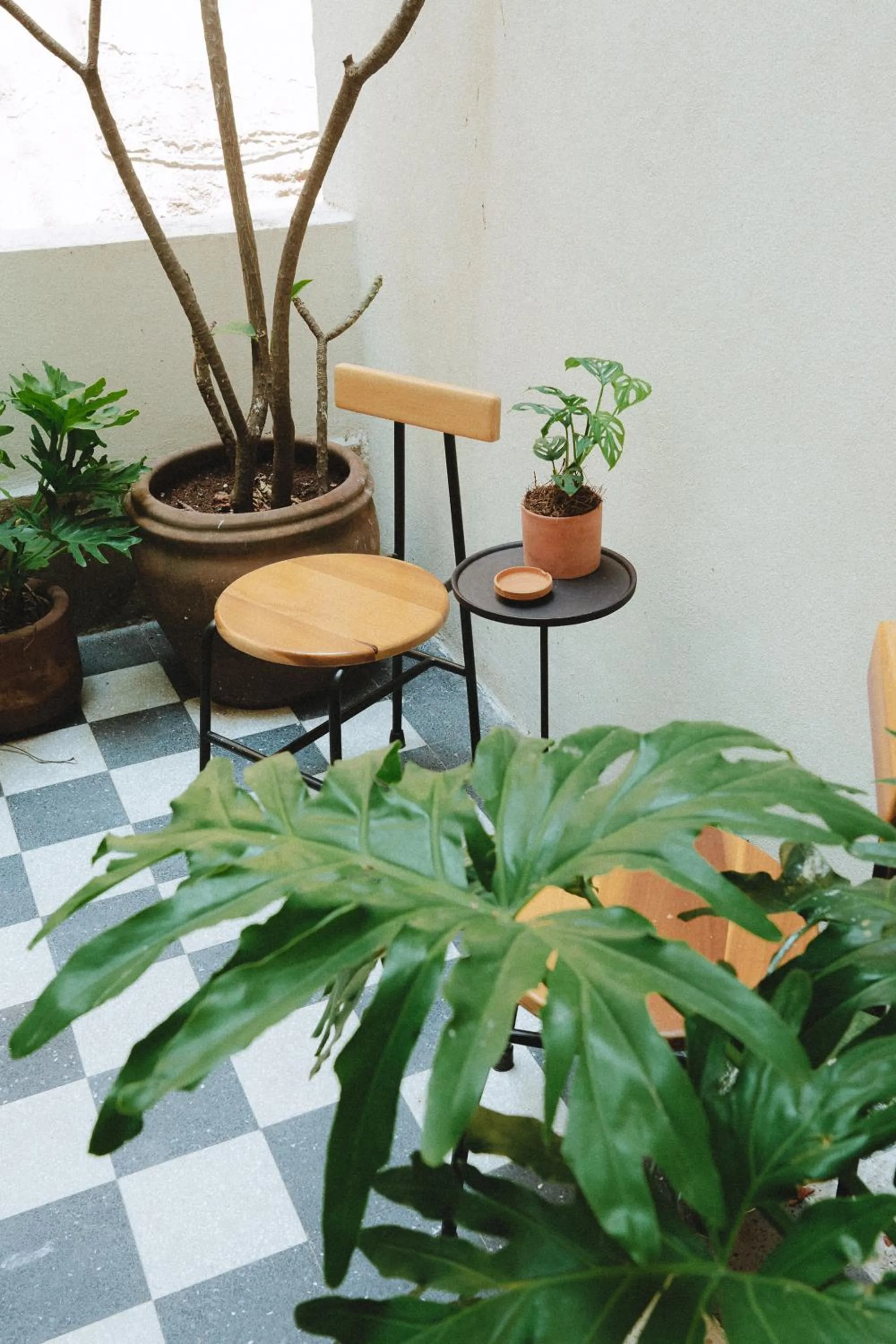 Balcony/Terrace in Hotel San Fernando