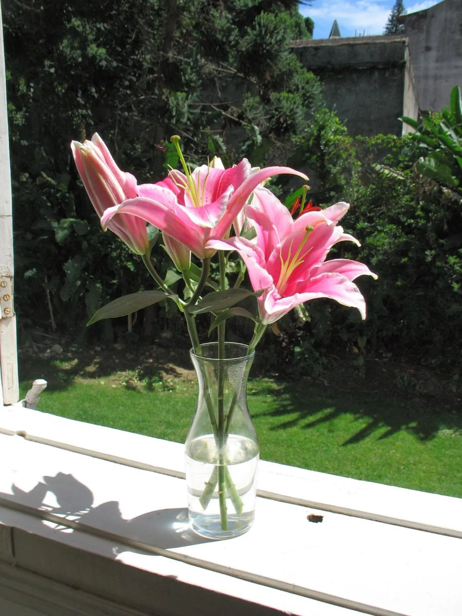 Garden view in Villa Laurinda