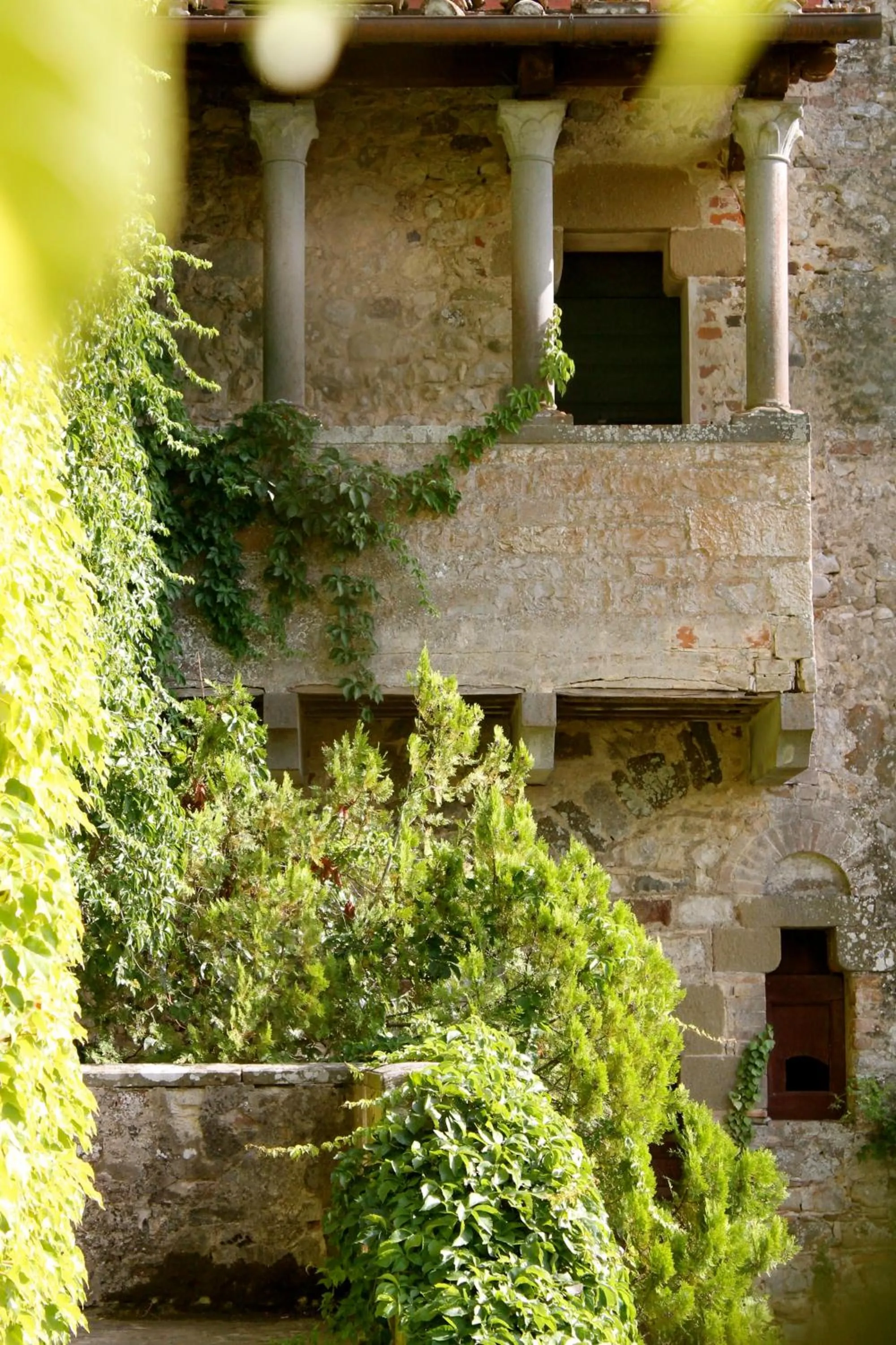 View (from property/room) in Castello di Montalto