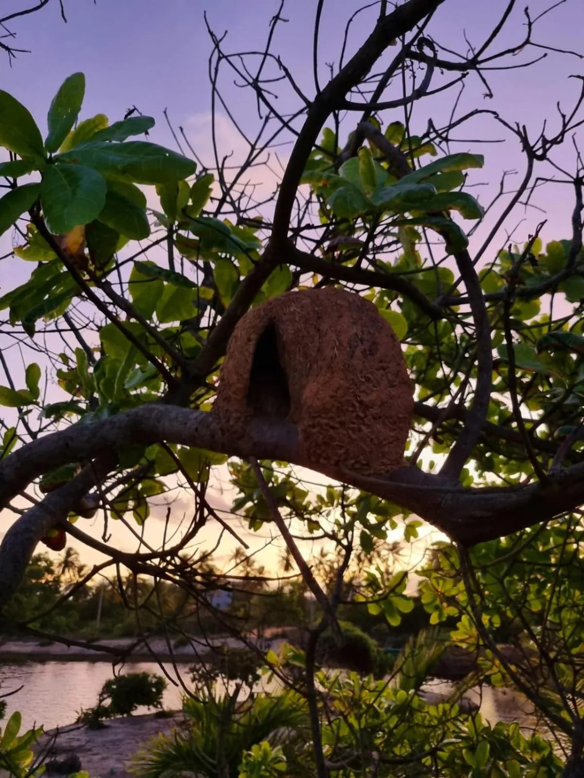 Bird's eye view in Grimms Pousada de Contos