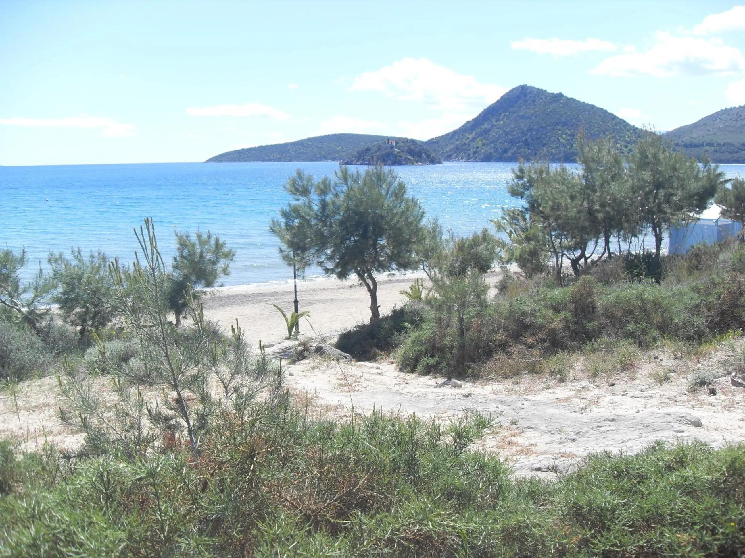 Area and facilities in Hotel Pavlos - Studios