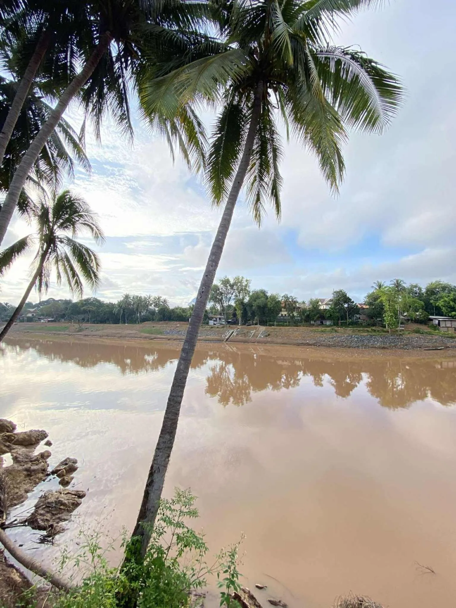 Day in Golden Lotus Namkhan View