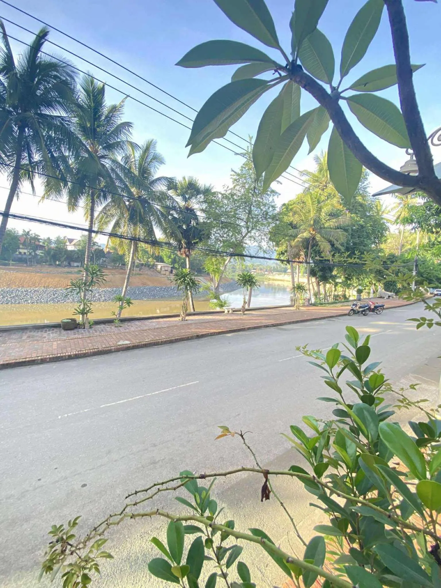 Spring in Golden Lotus Namkhan View