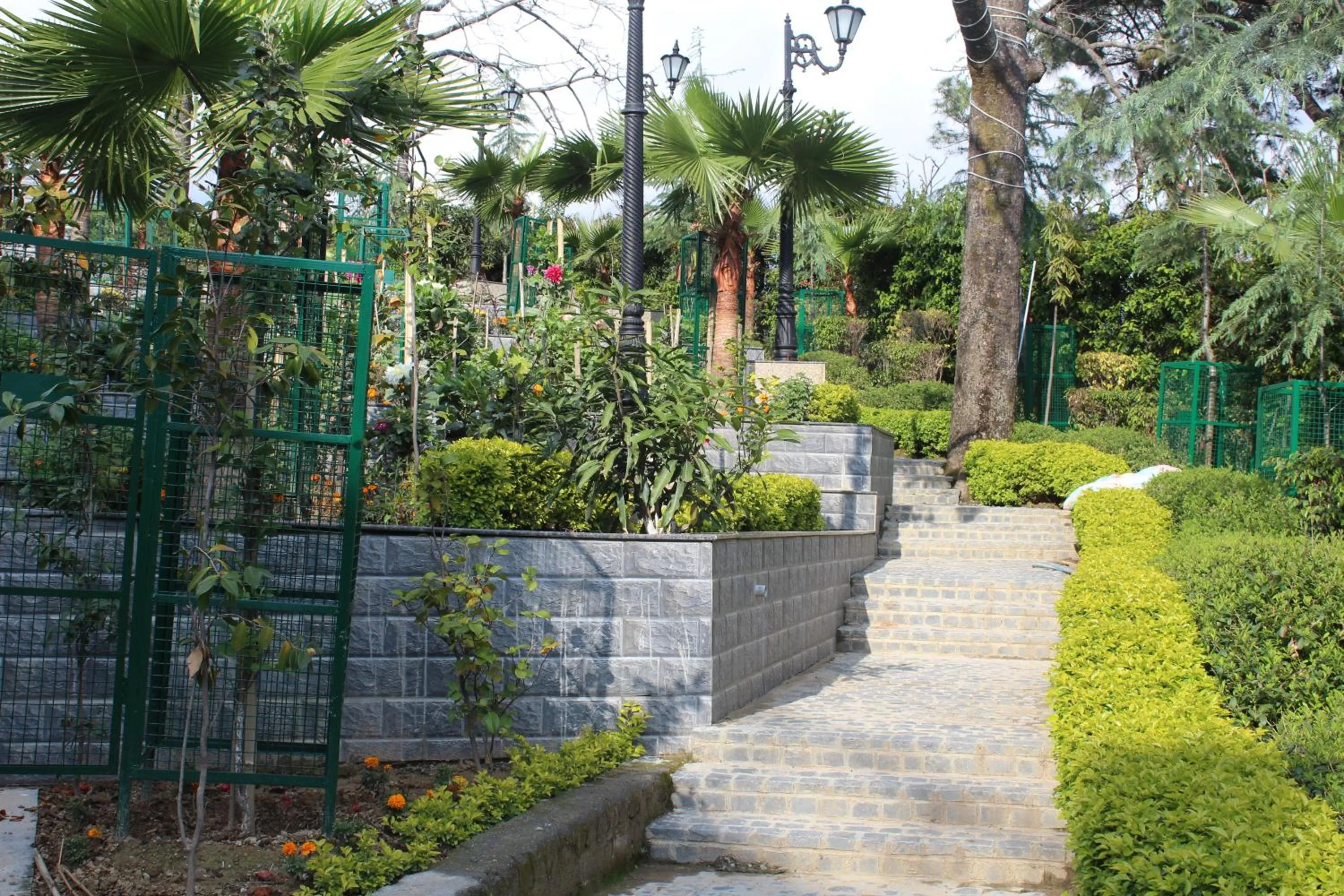 Garden in Dhauladhar Heights Resort