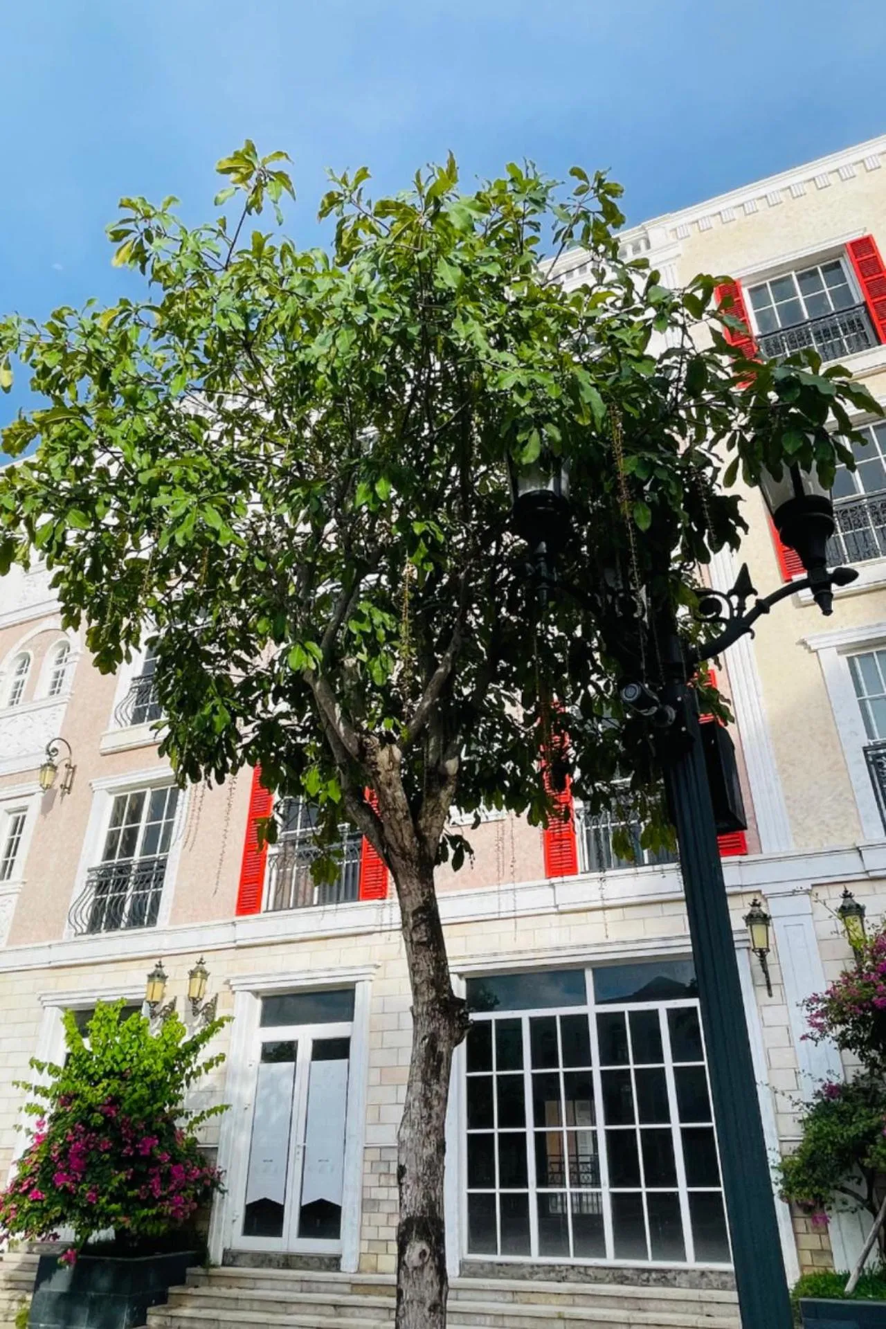 Property building in Moonlight Hotel Phu Quoc