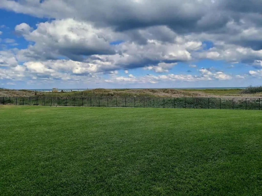 Other in Saida Towers II #104