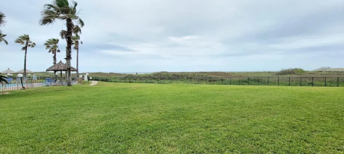 Other in Saida Towers II #104