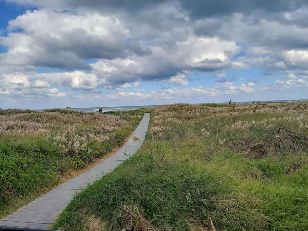 Other in Saida Towers II #104