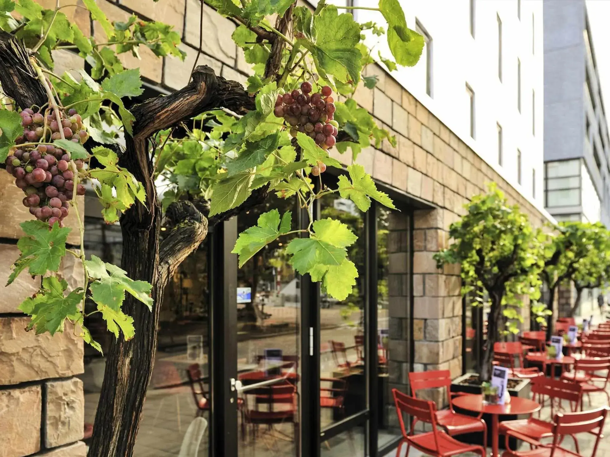 Lounge or bar in ibis Rotterdam City Centre Lounge or bar in ibis Rotterdam City Centre