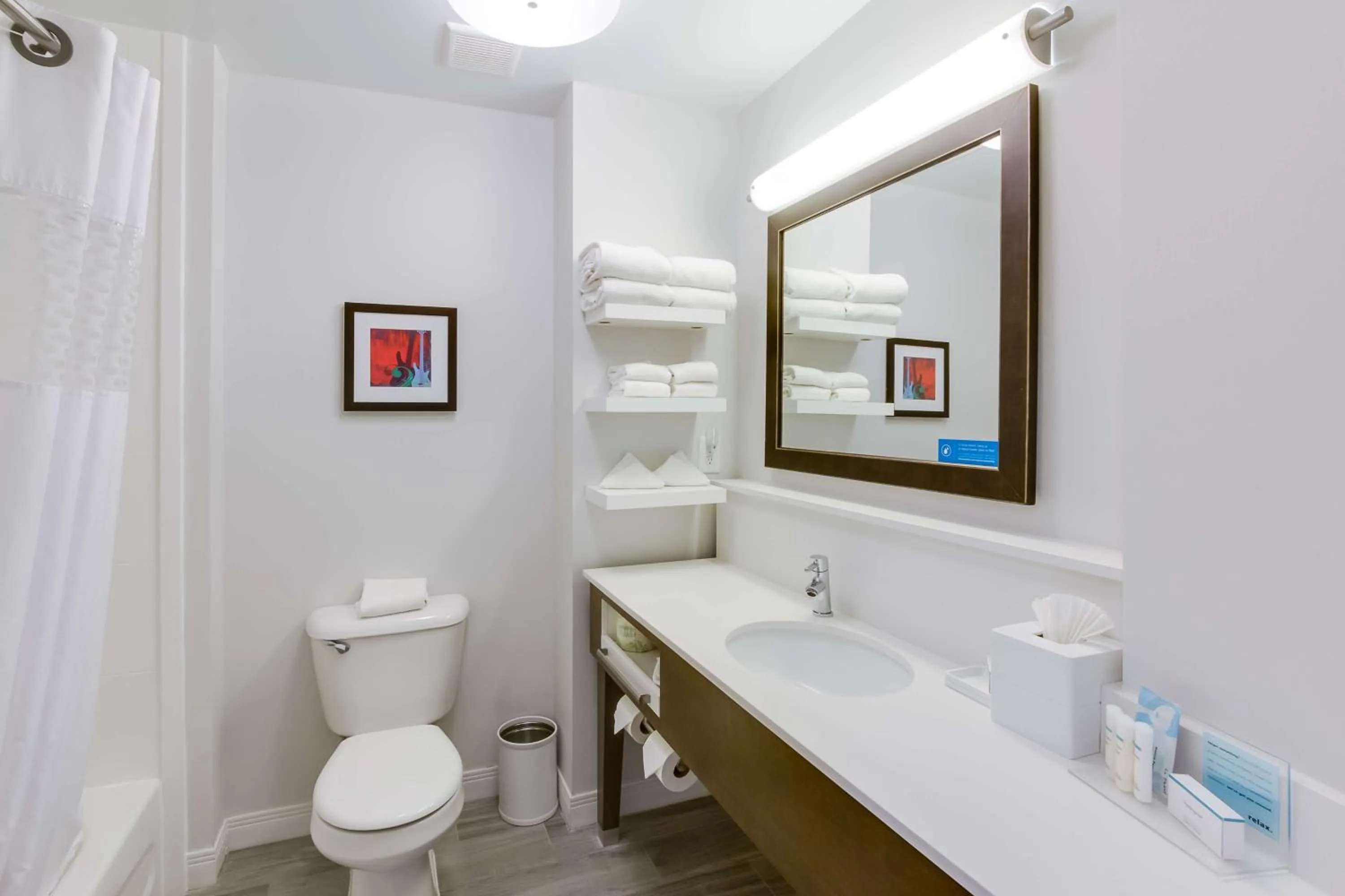 Bathroom in Hampton Inn White House