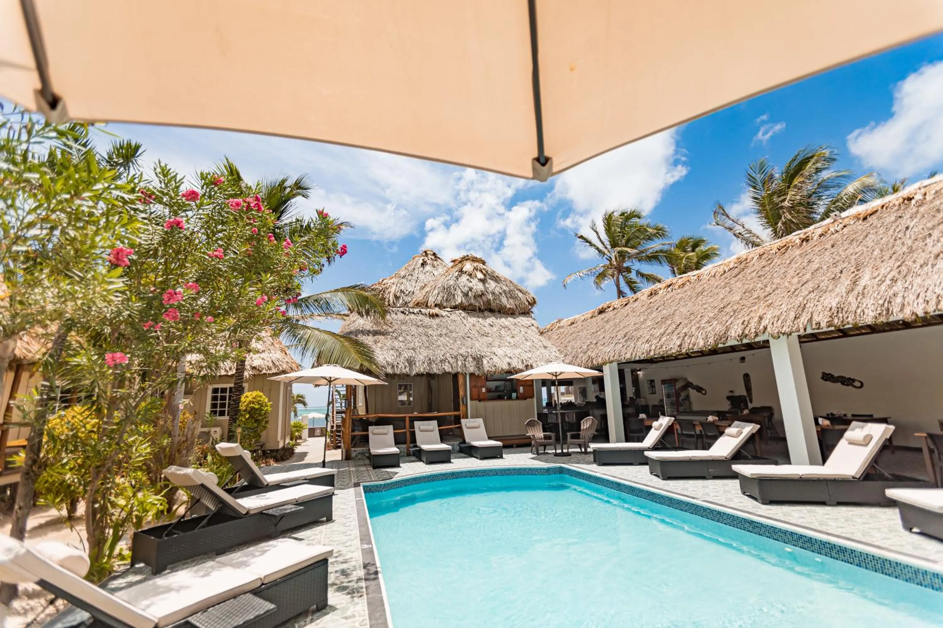 Garden view in Hidden Jewel Boutique Hotel