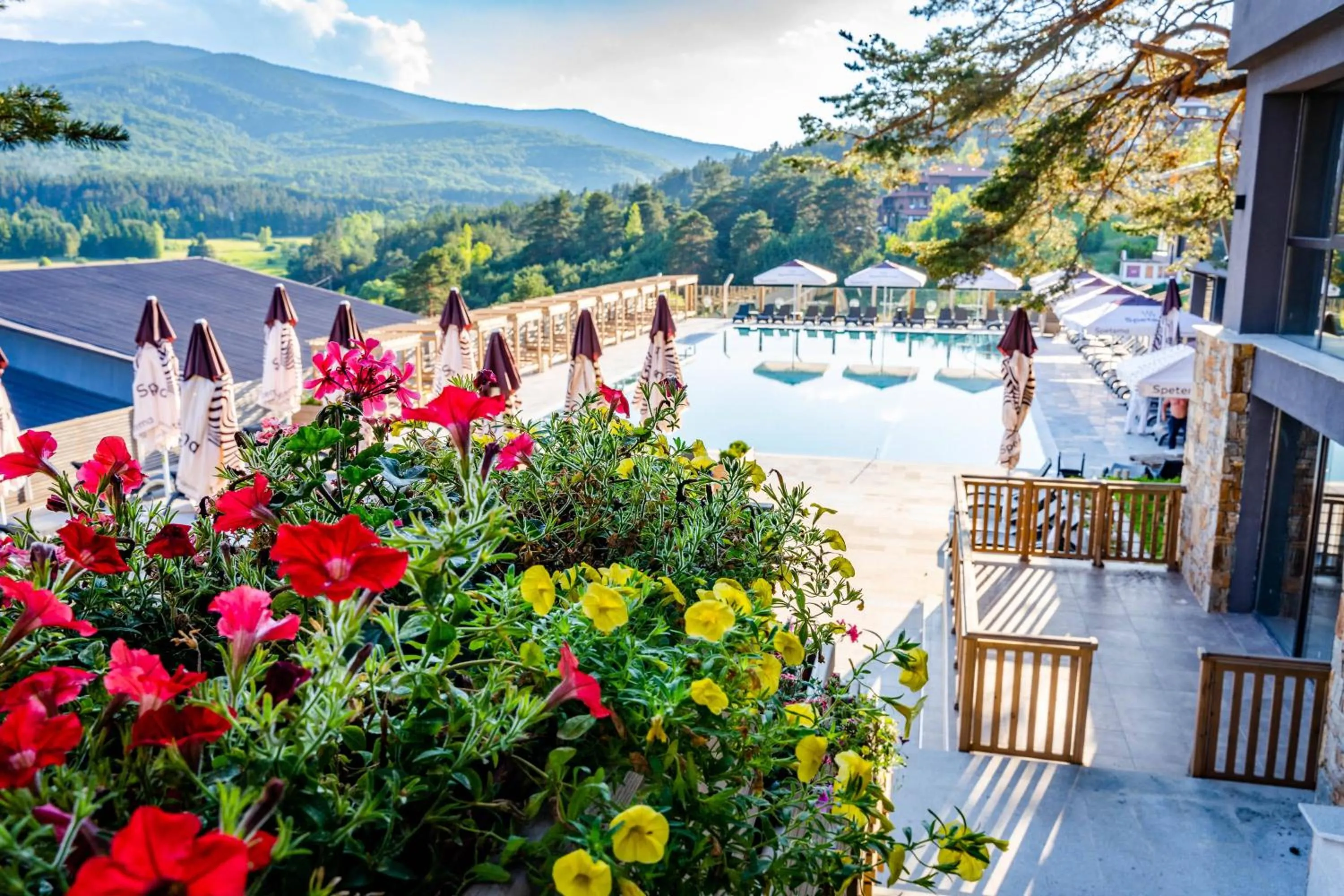 Garden in Grande Vista Resort & Spa