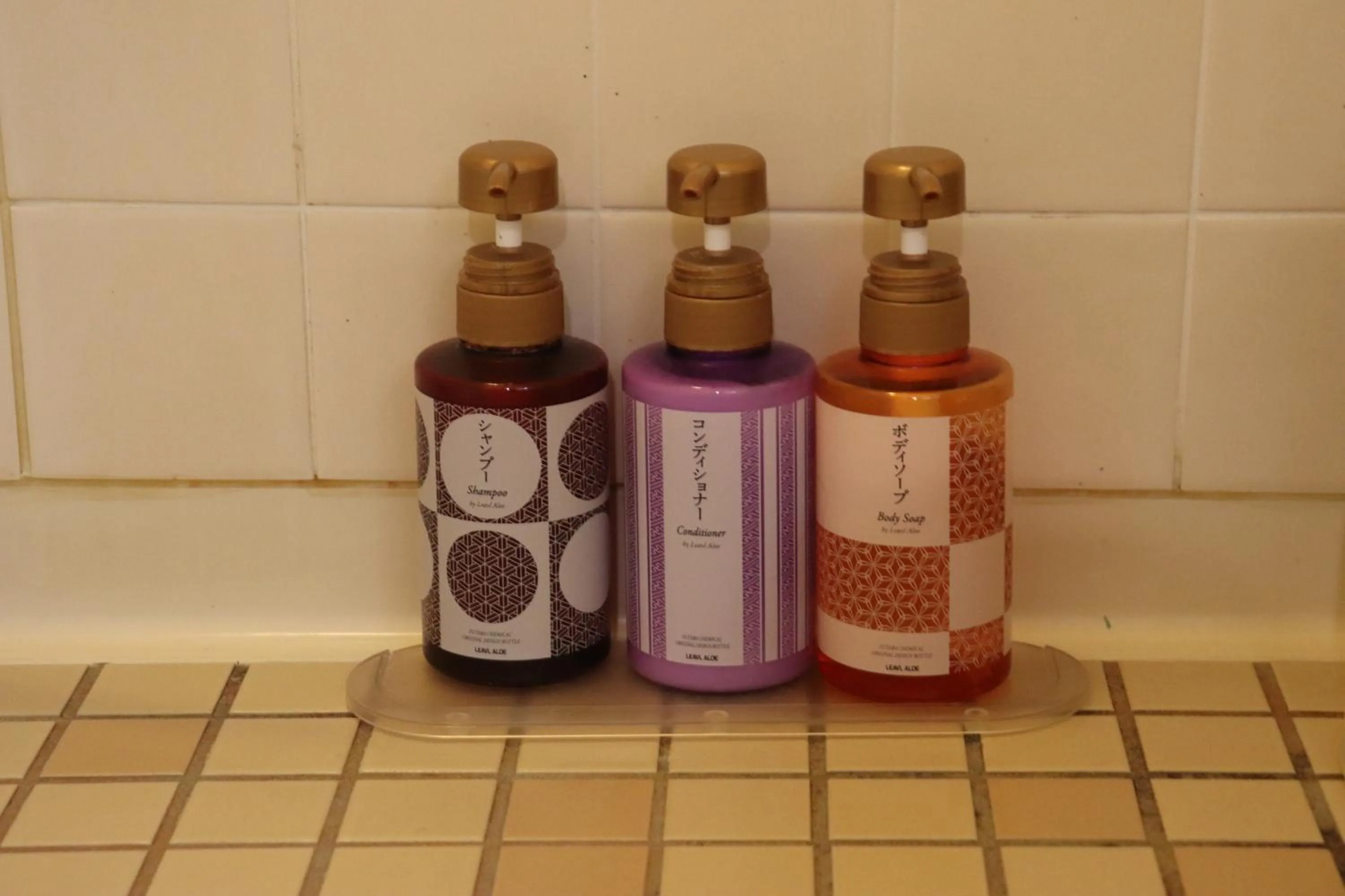 Photo of the whole room in Hotel Ichii