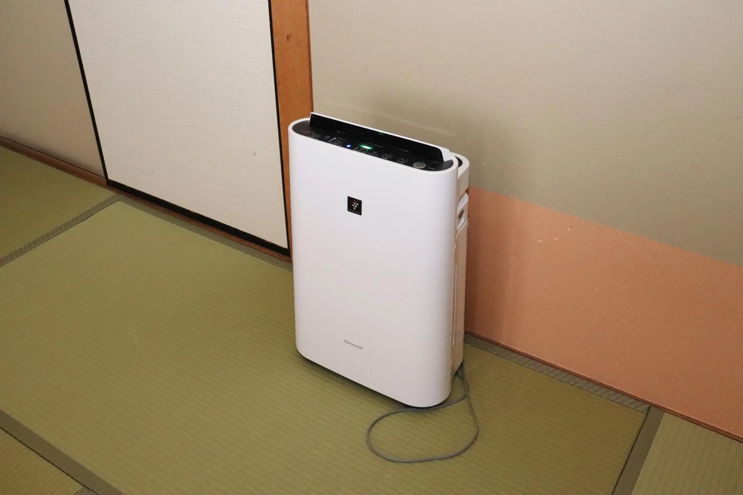 Photo of the whole room in Hotel Ichii