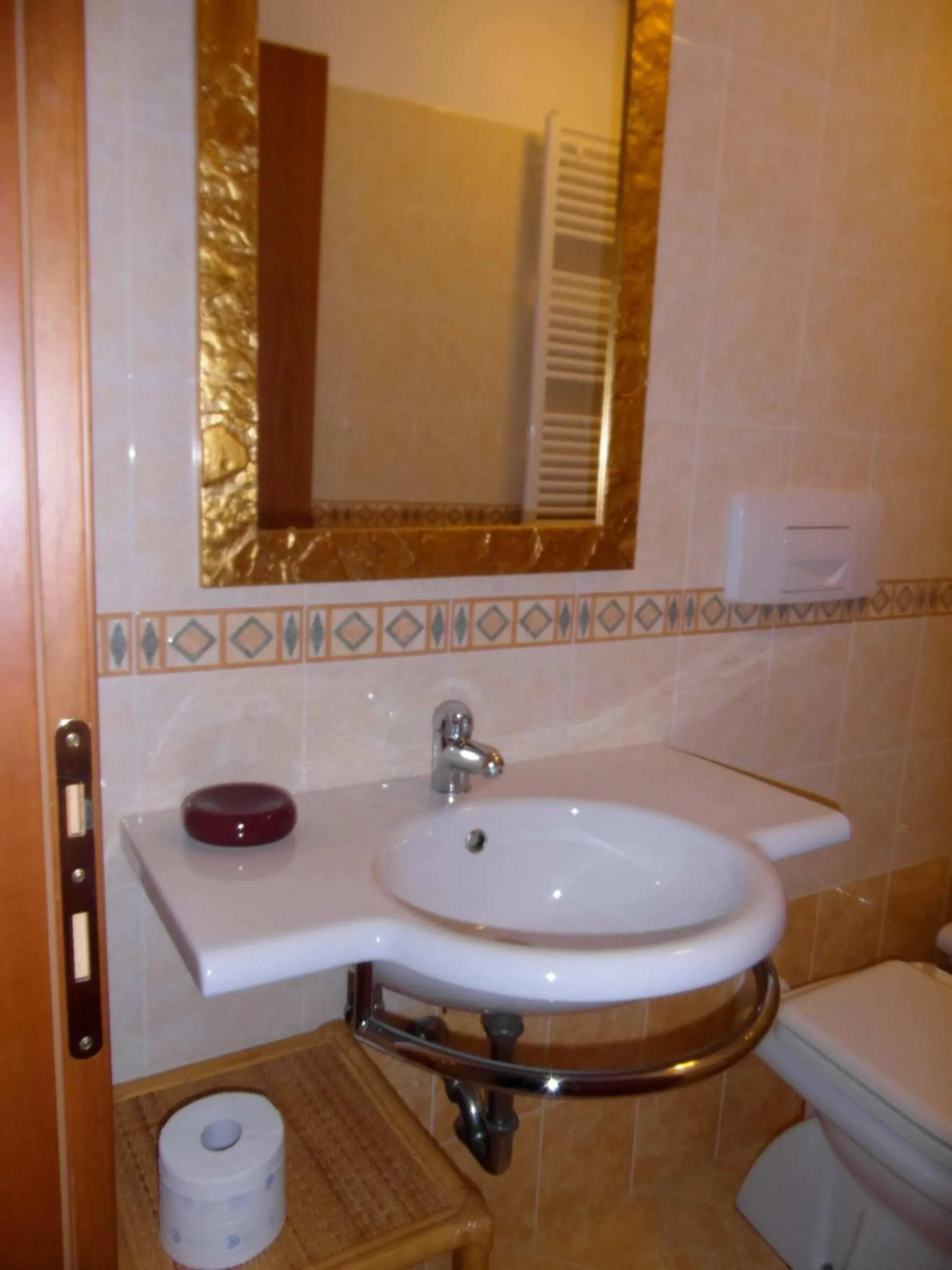 Toilet in Ali