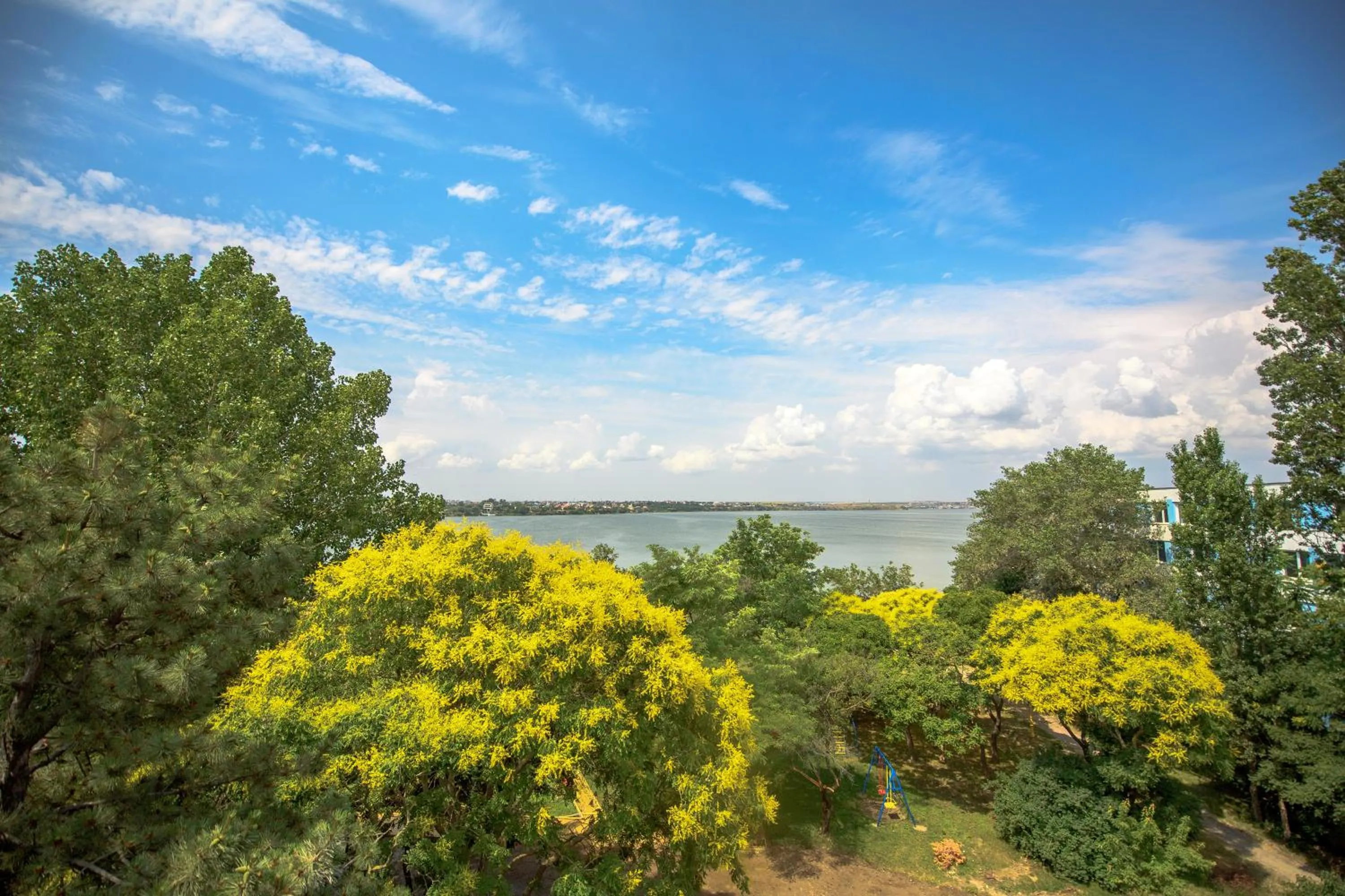 Natural landscape in Hotel Piccadilly