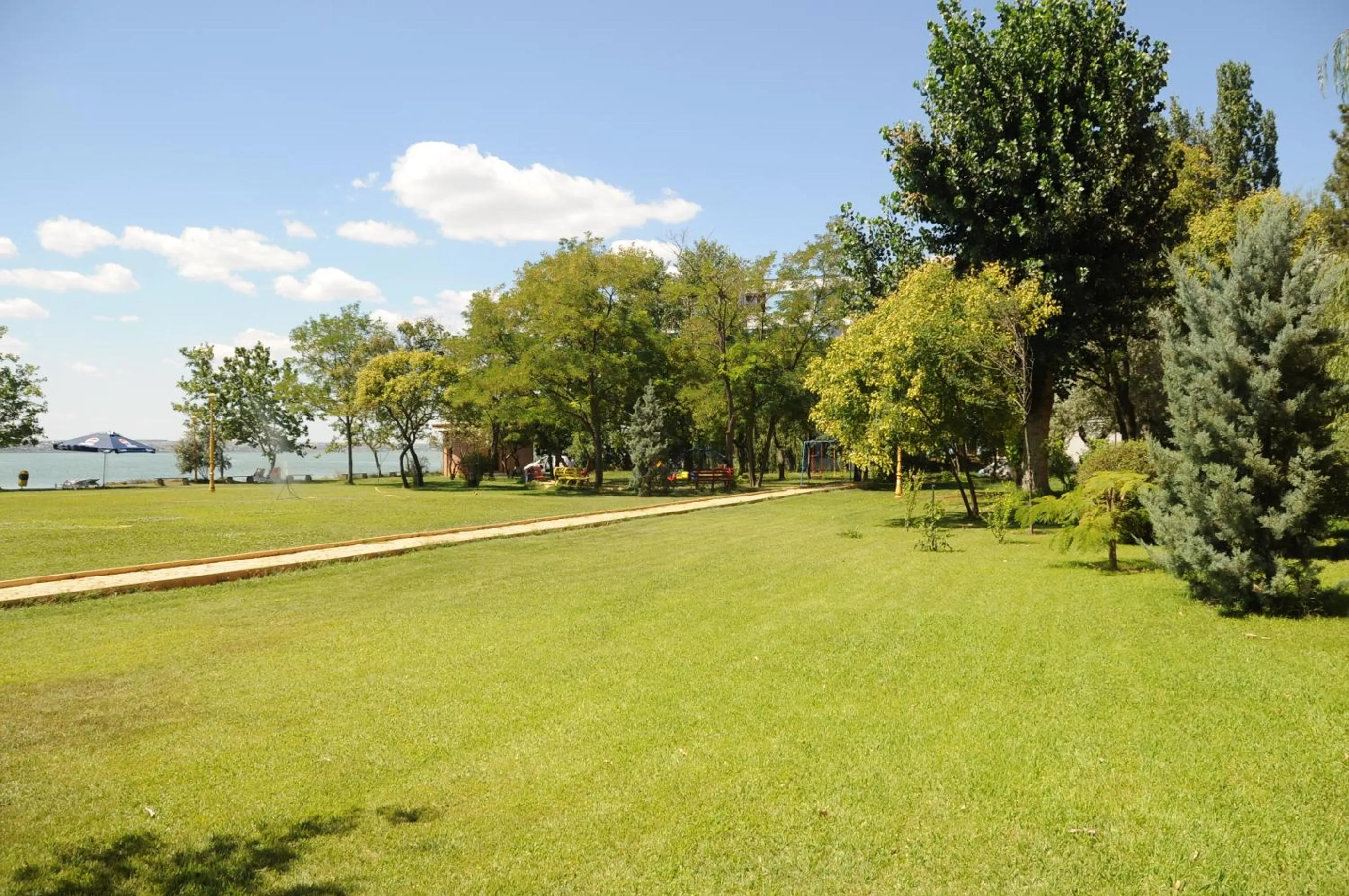 Garden in Hotel Piccadilly