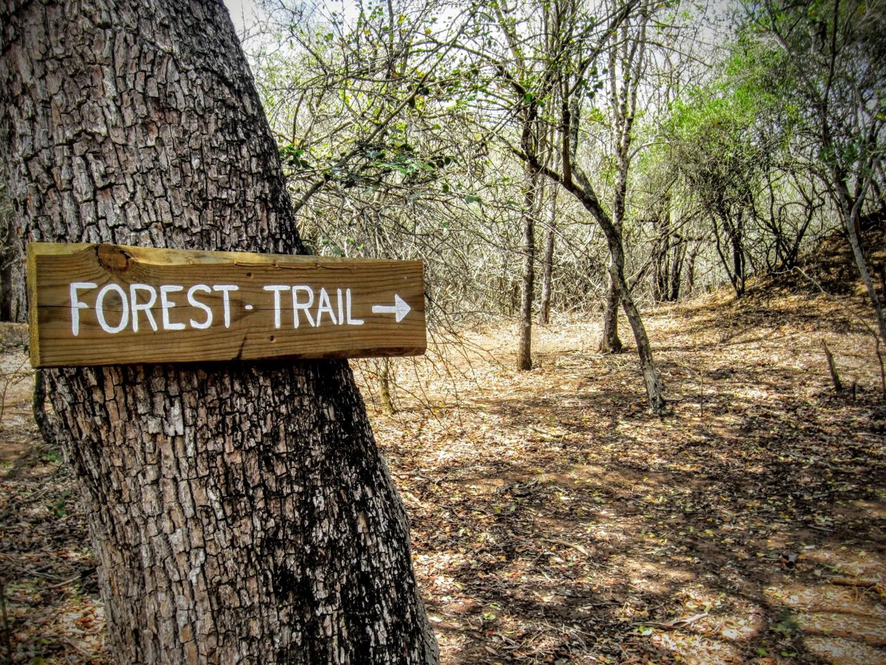 Hiking in Chumbi Bush House