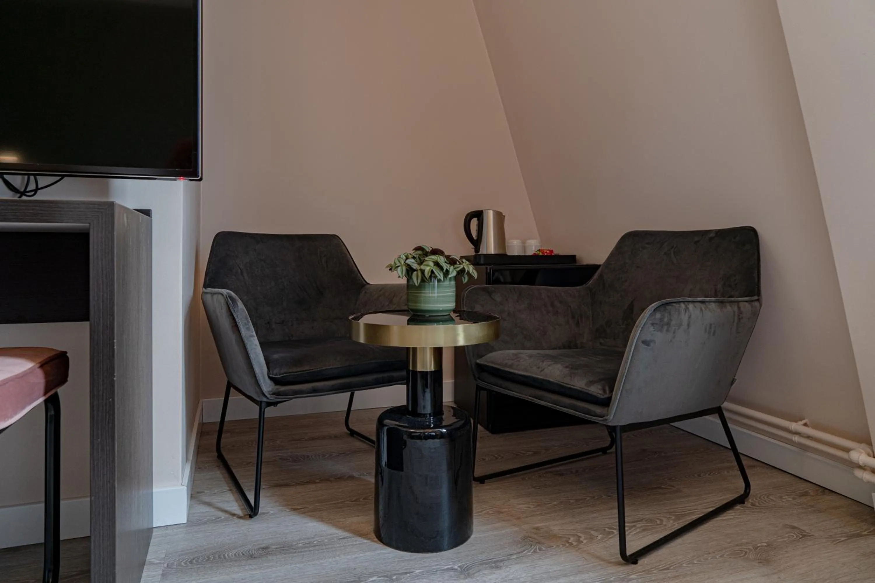 TV and multimedia in Hotel de Duif Lisse - Keukenhof