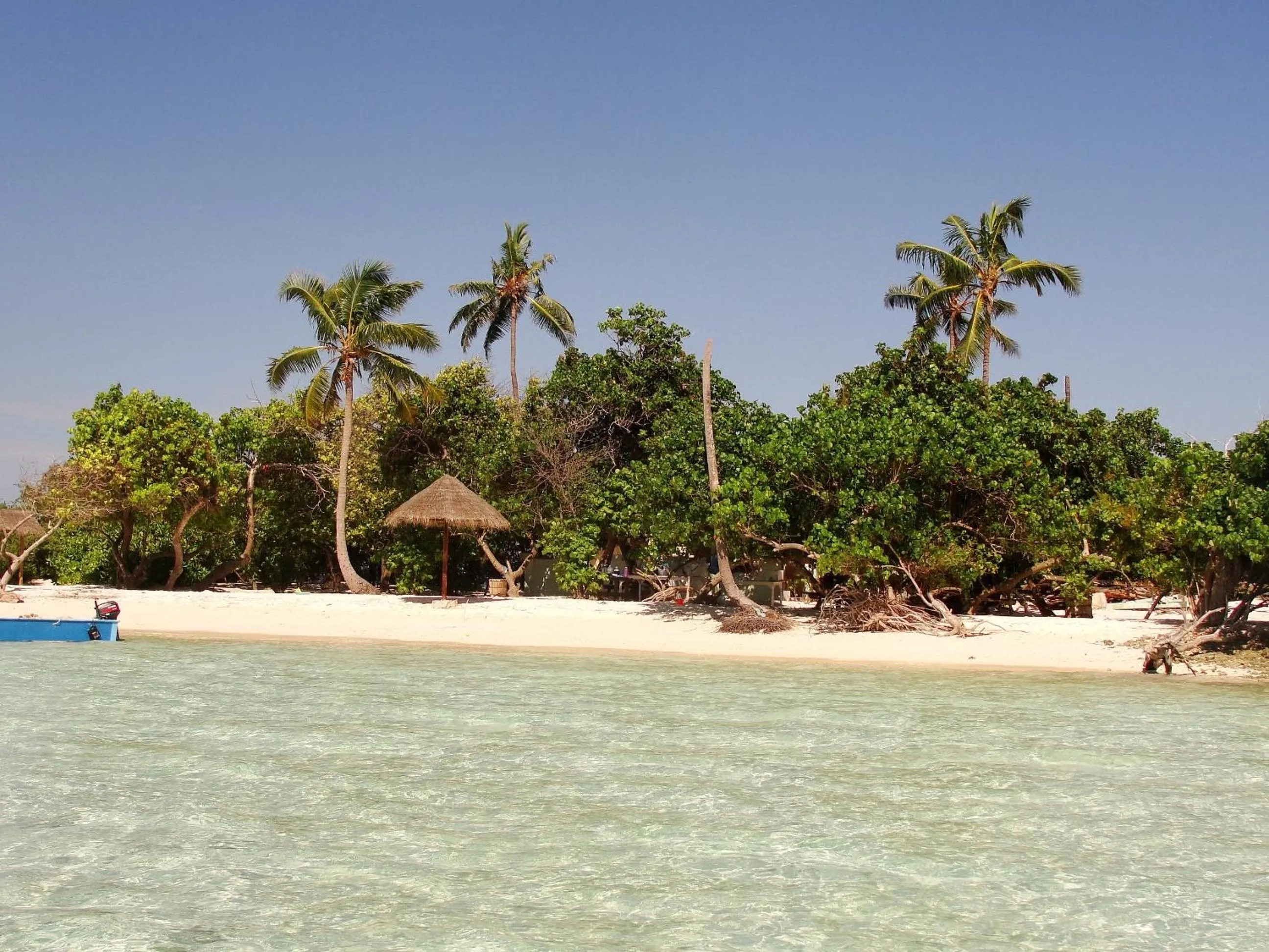 Day in Ras Rana Lodge