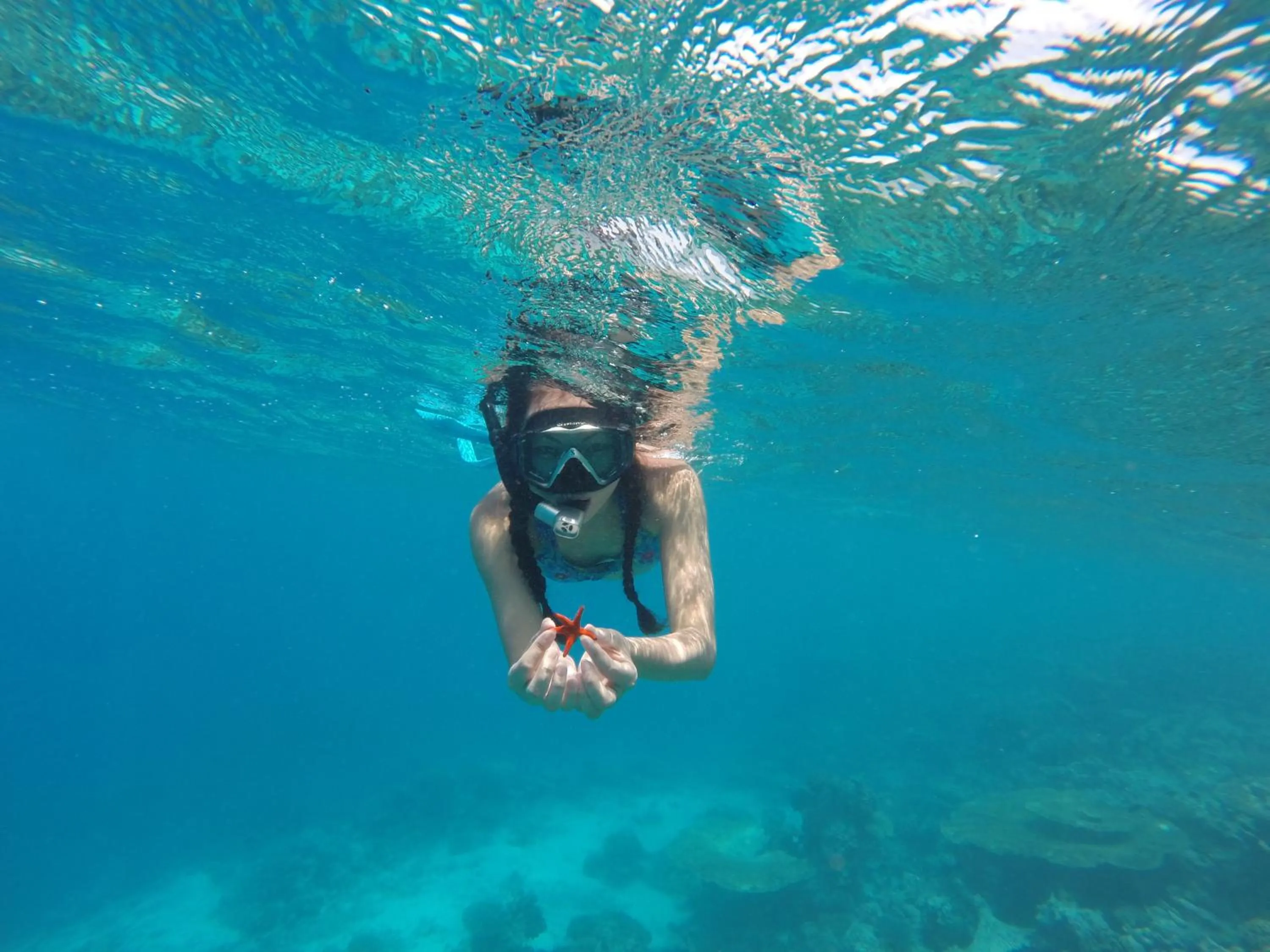 Snorkeling in Ras Rana Lodge