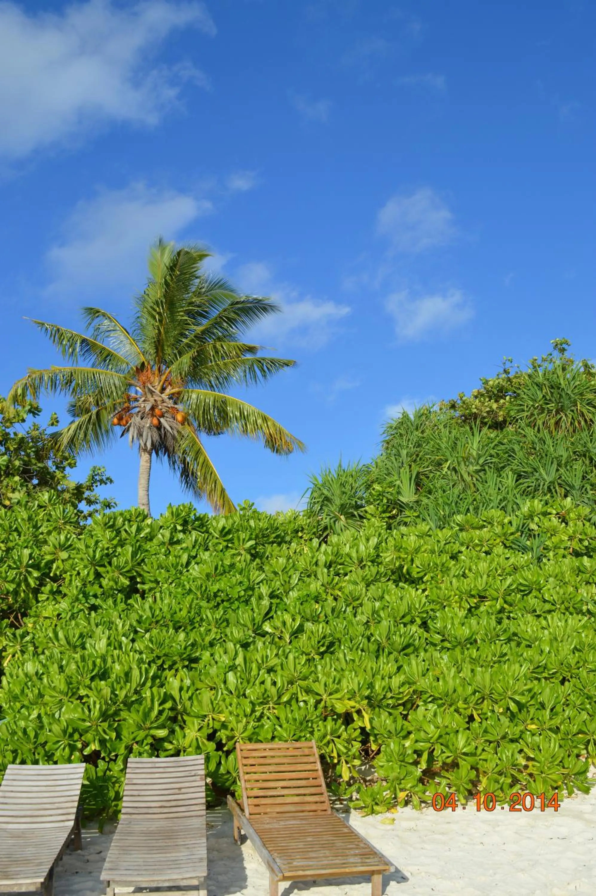 Day in Ras Rana Lodge