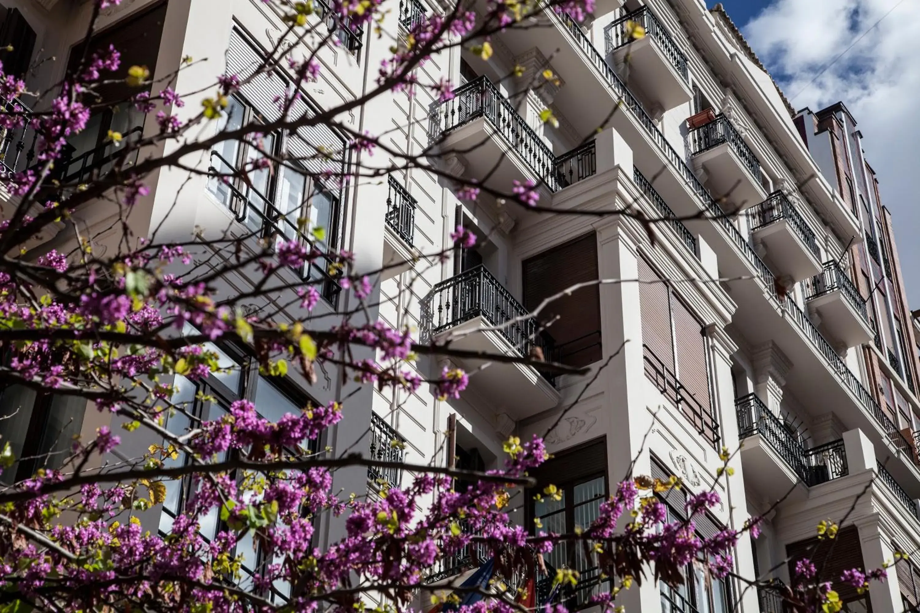 BUBUFLATS Ayuntamiento BUBUFLATS Ayuntamiento