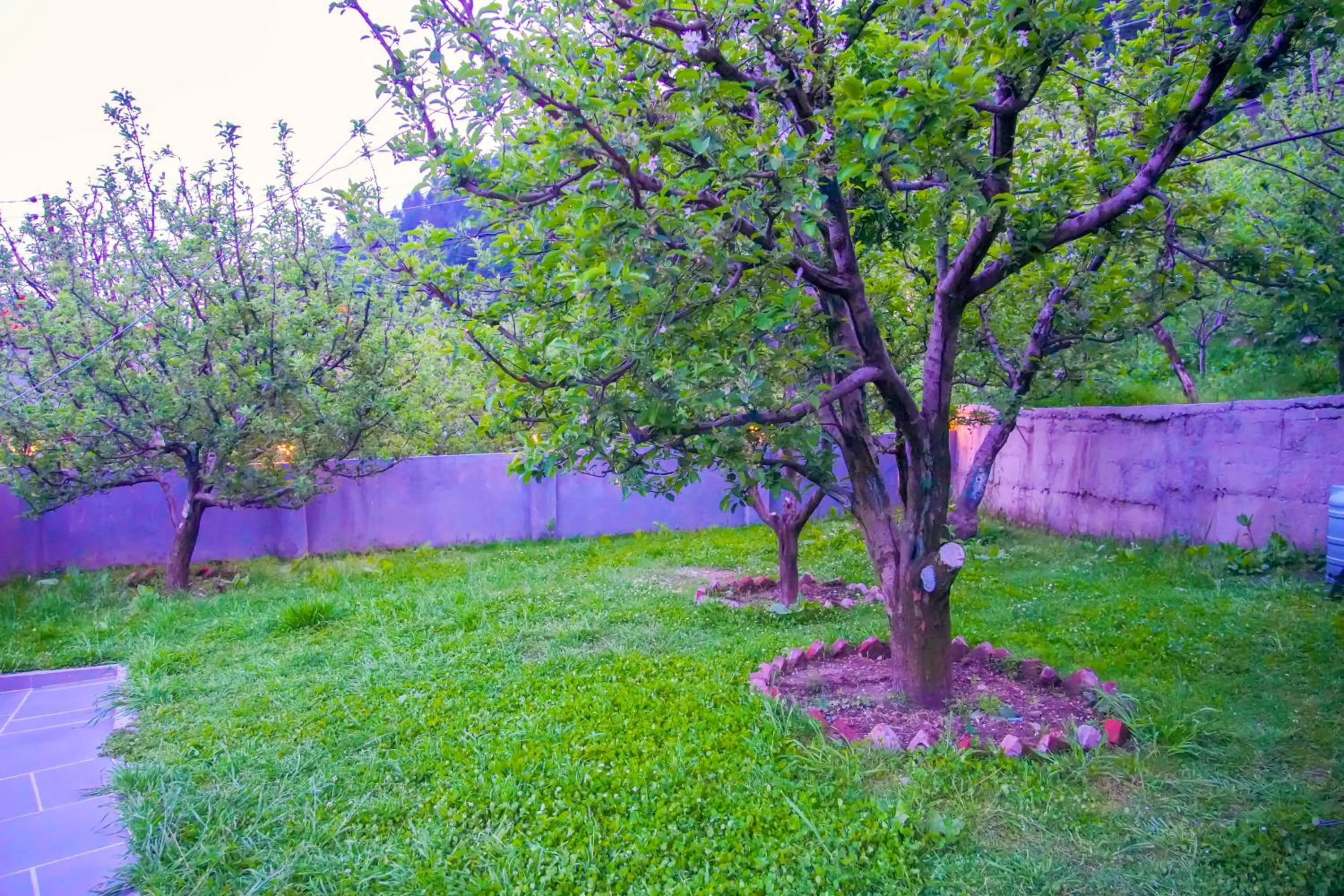 Natural landscape in Ride At Hill-Nihal Hotel & Cottage