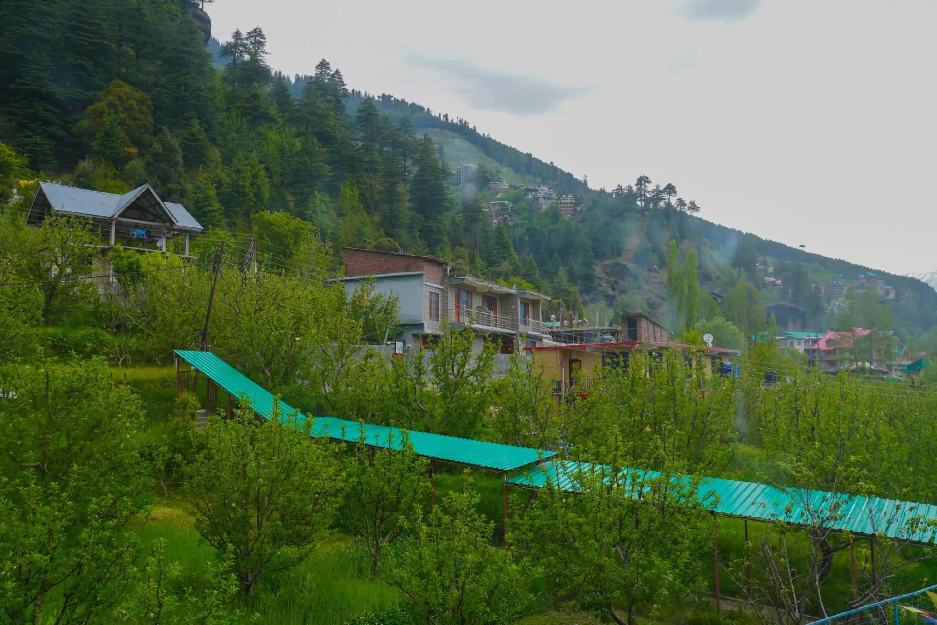 Natural landscape in Ride At Hill-Nihal Hotel & Cottage