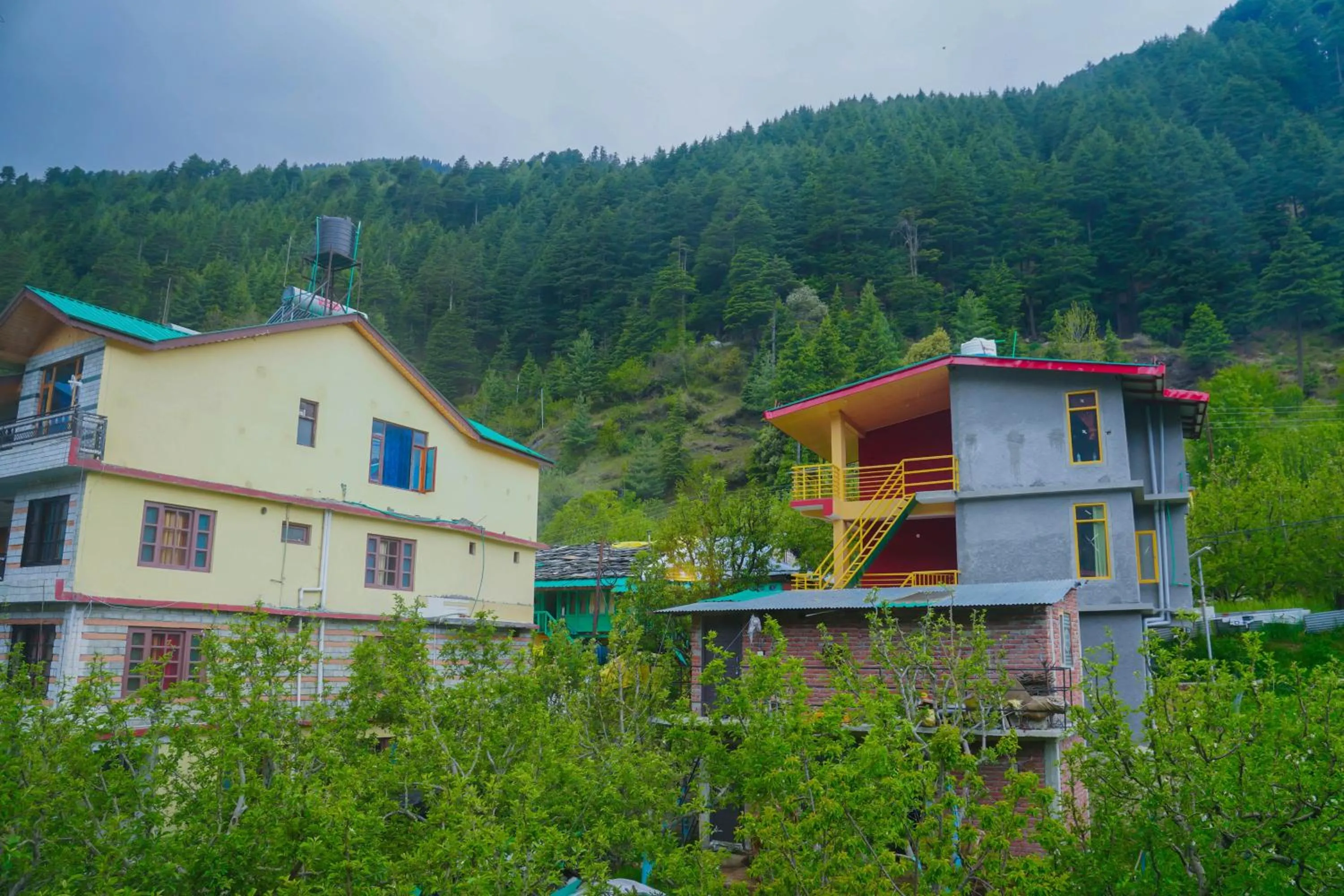 Mountain view in Ride At Hill-Nihal Hotel & Cottage