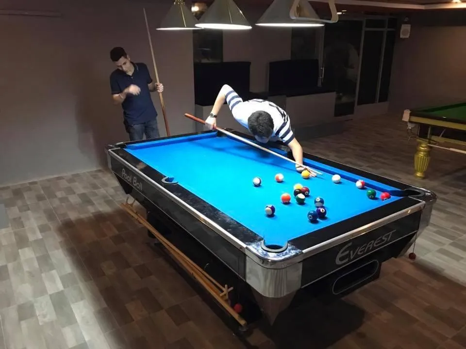 Billiard in Varindavan Park Serviced Residence