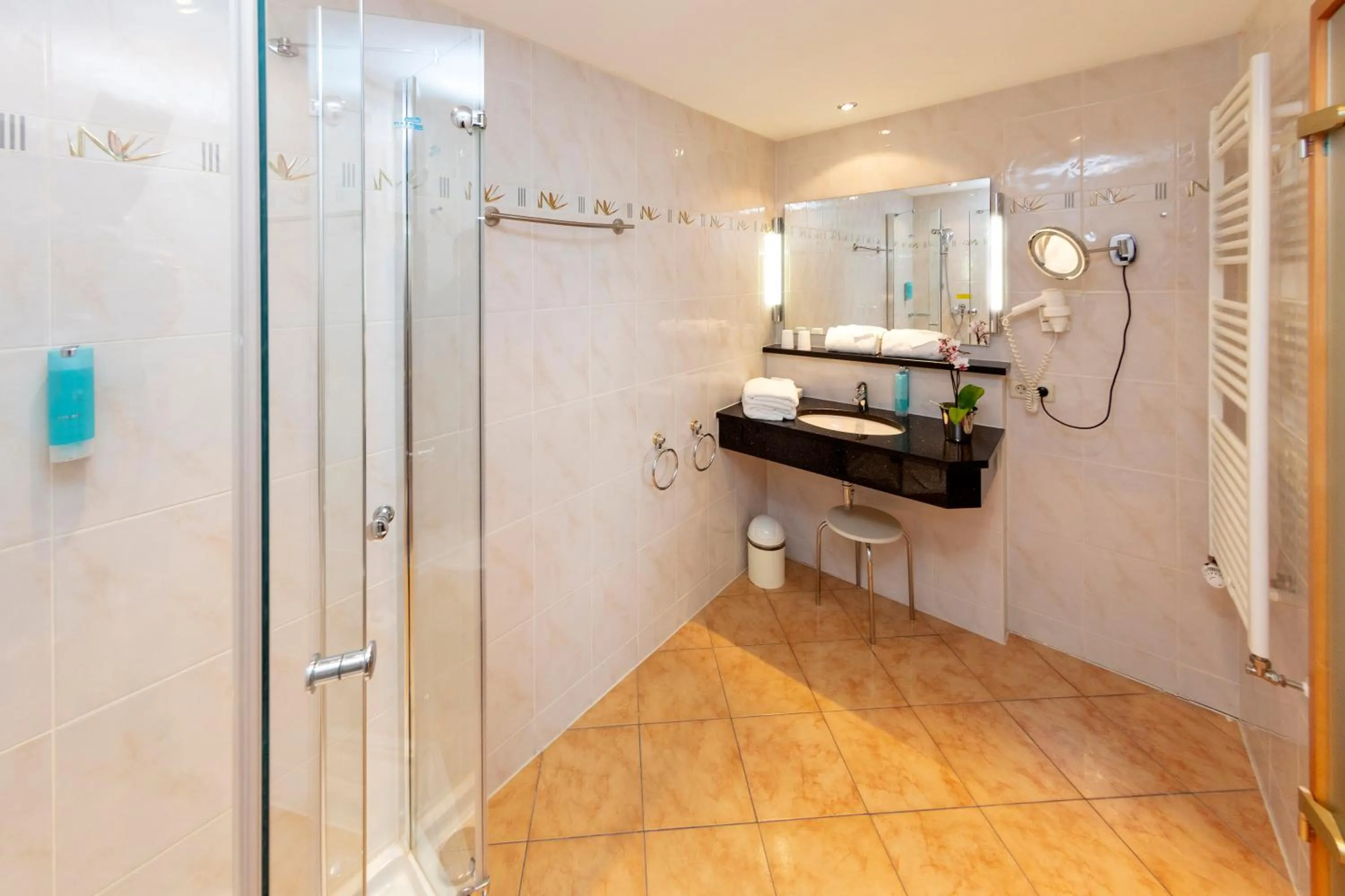 Bathroom in Parkhotel an der Therme