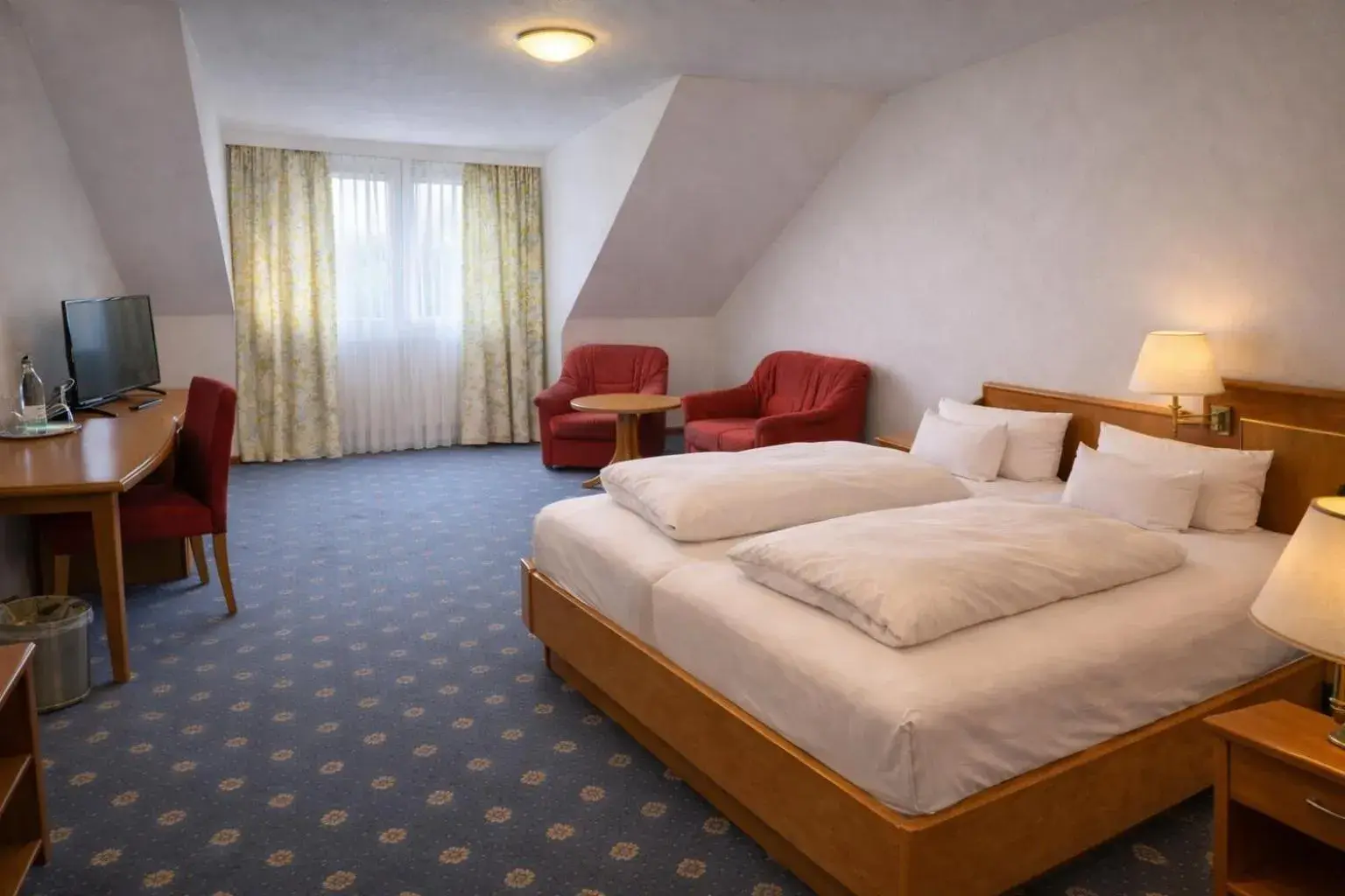 Double Room - single occupancy in Parkhotel an der Therme Double Room - single occupancy in Parkhotel an der Therme