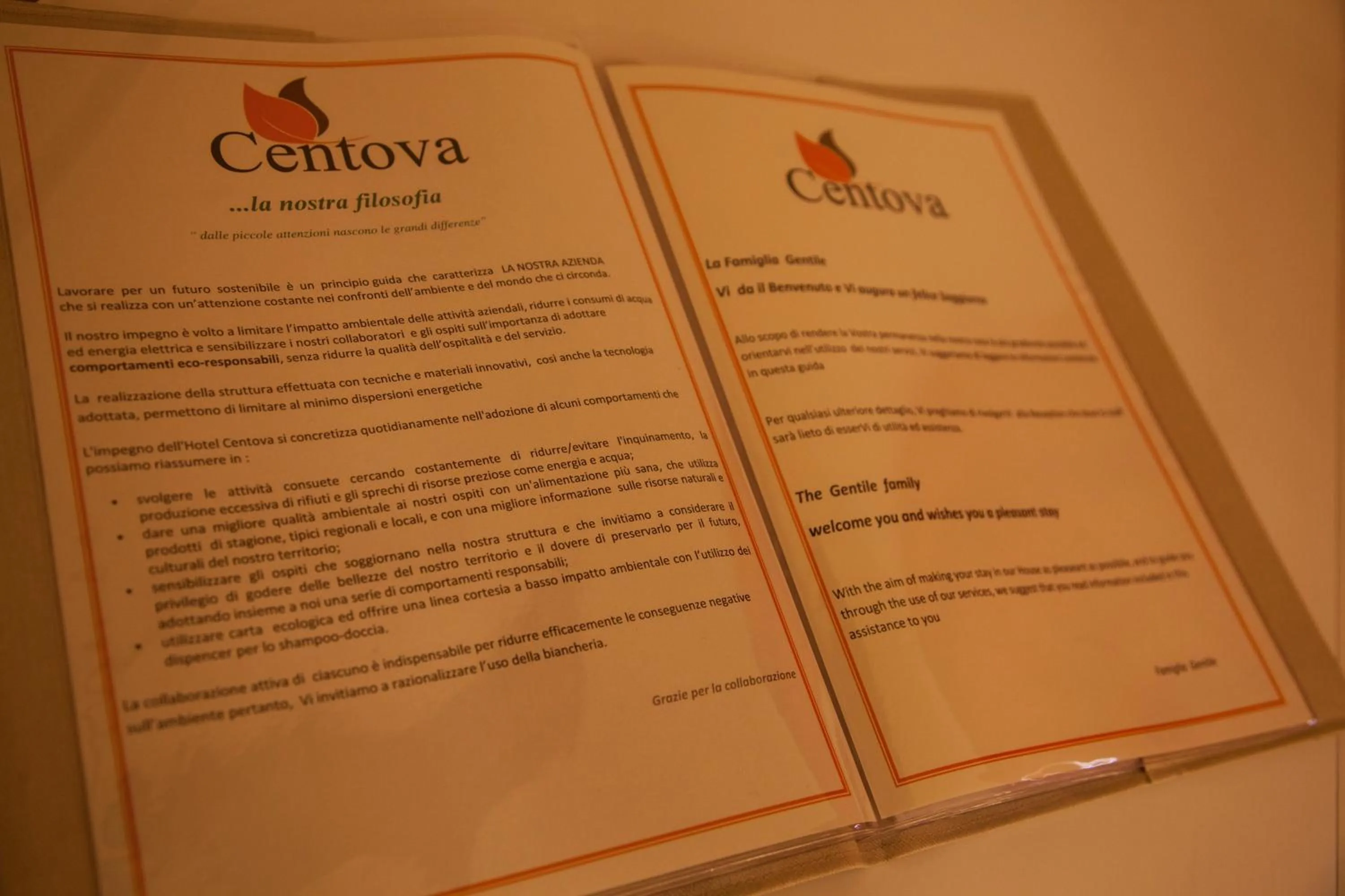 Decorative detail in Hotel Centova