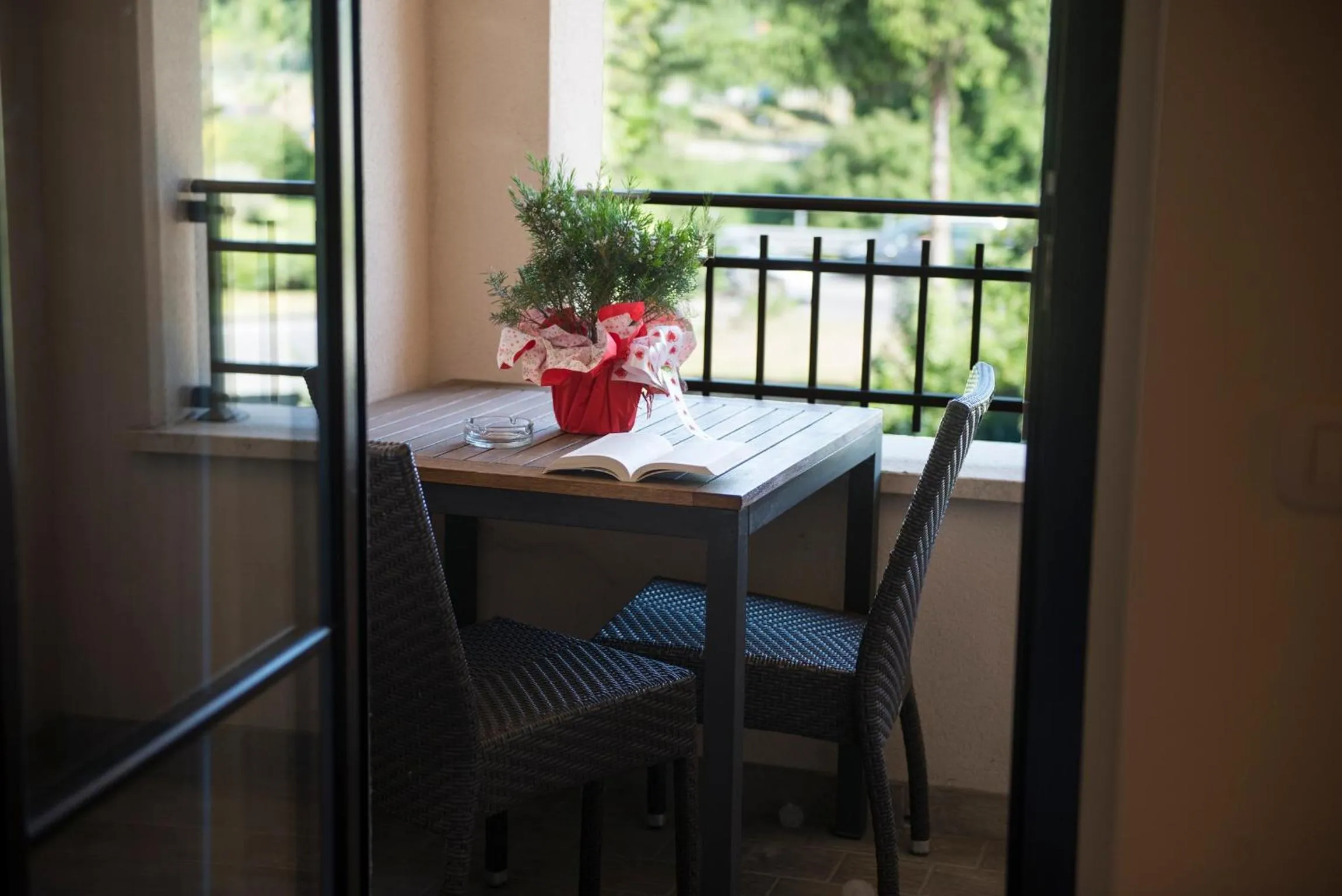 Balcony/Terrace in Hotel Centova