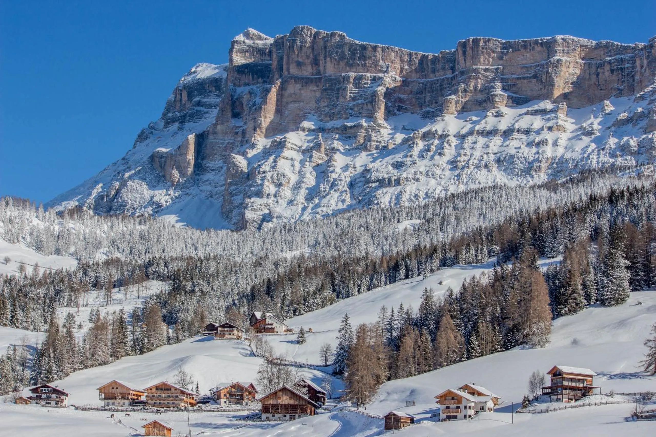 Winter in Residence Rosarela