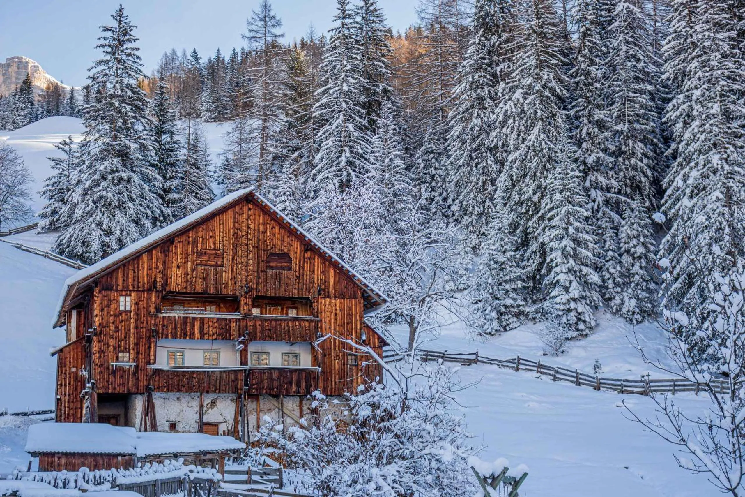 Winter in Residence Rosarela