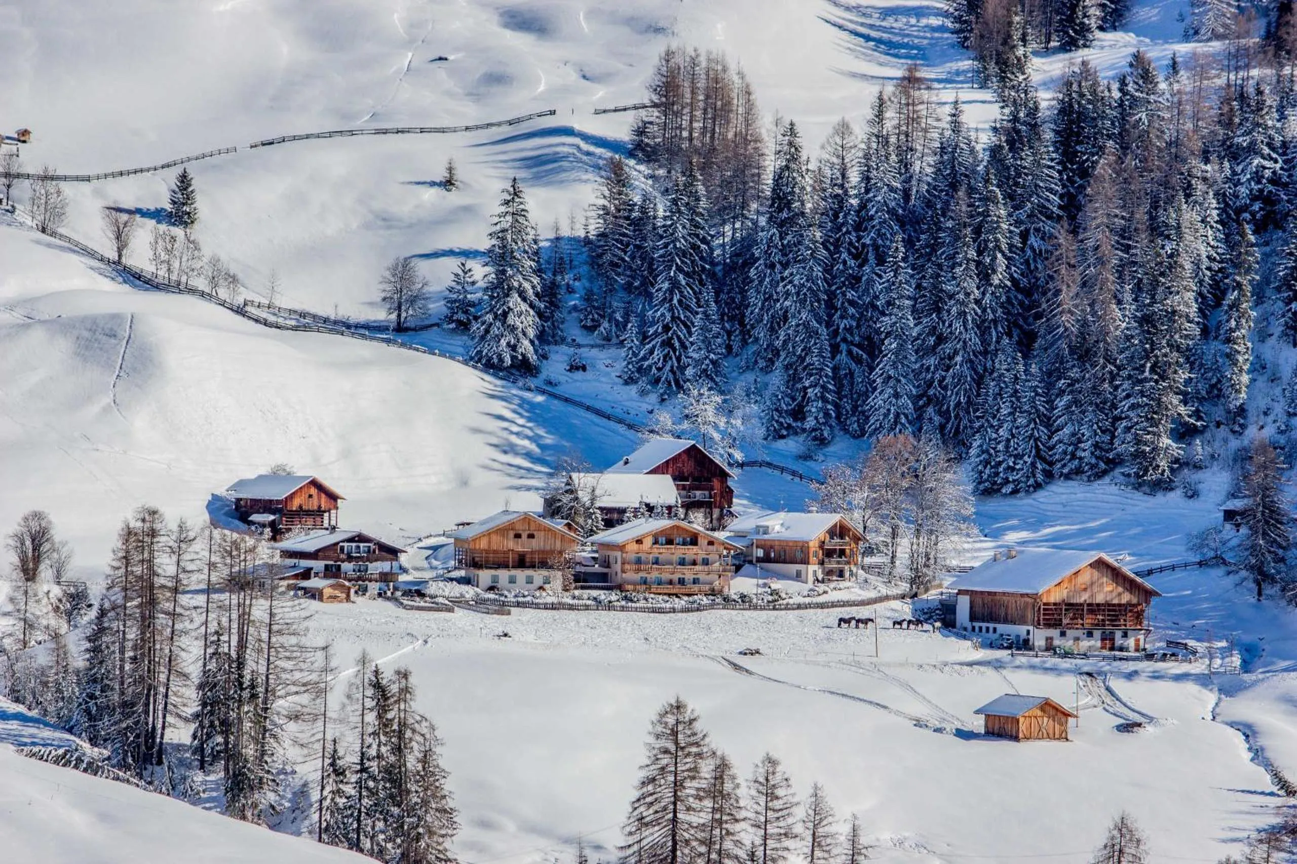 Winter in Residence Rosarela