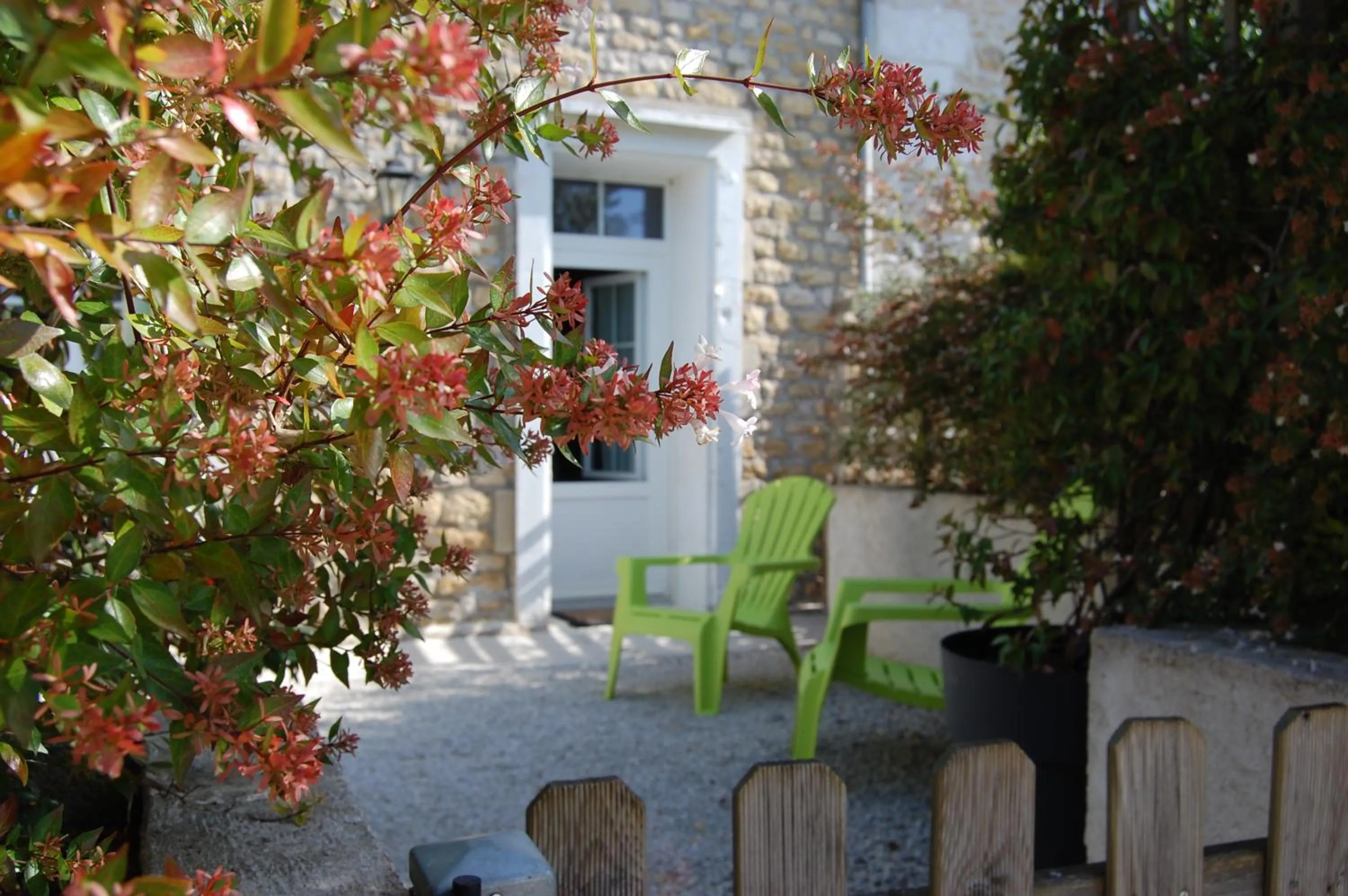 Patio in Le Comptoir des Ecoliers