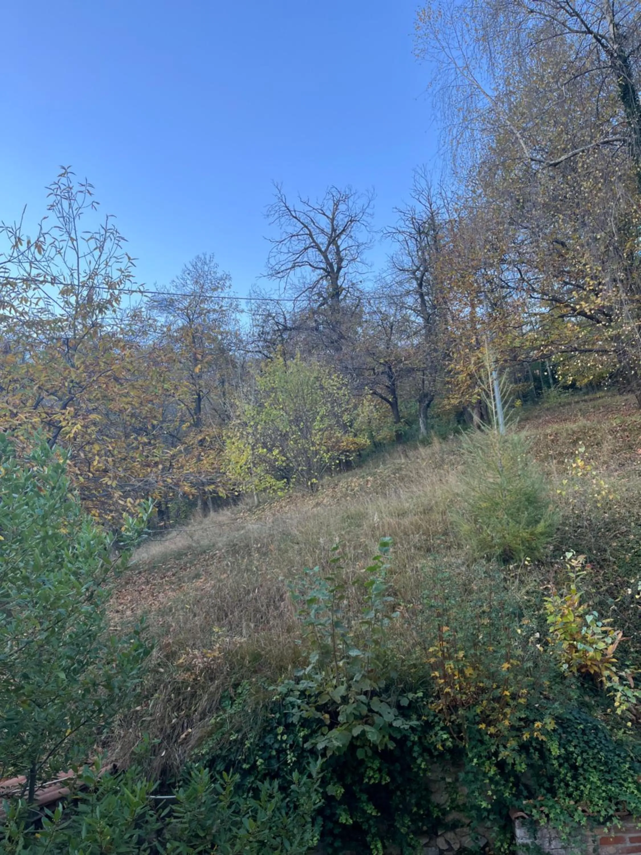 Property building in Il Bosco Incantato